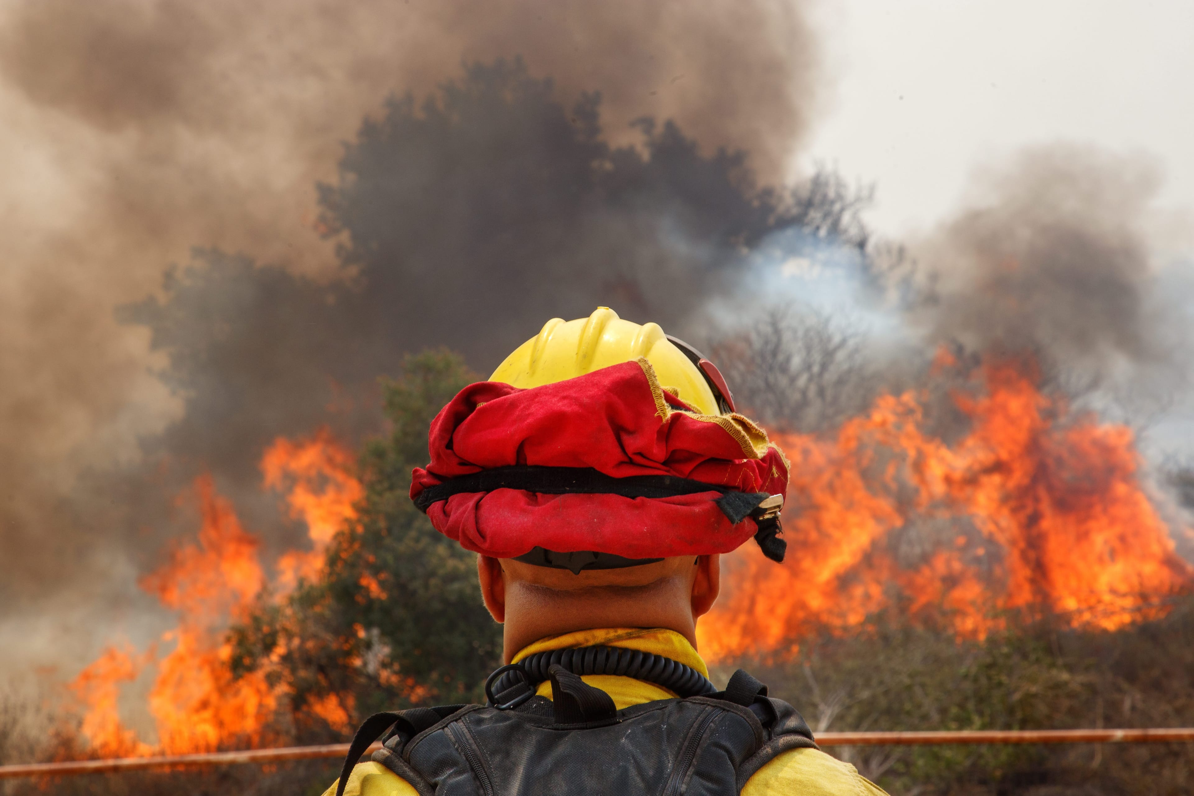 A firefighter watches the 'Holy' wildfire in Corona, Calif. EPA/EUGENE GARCIA