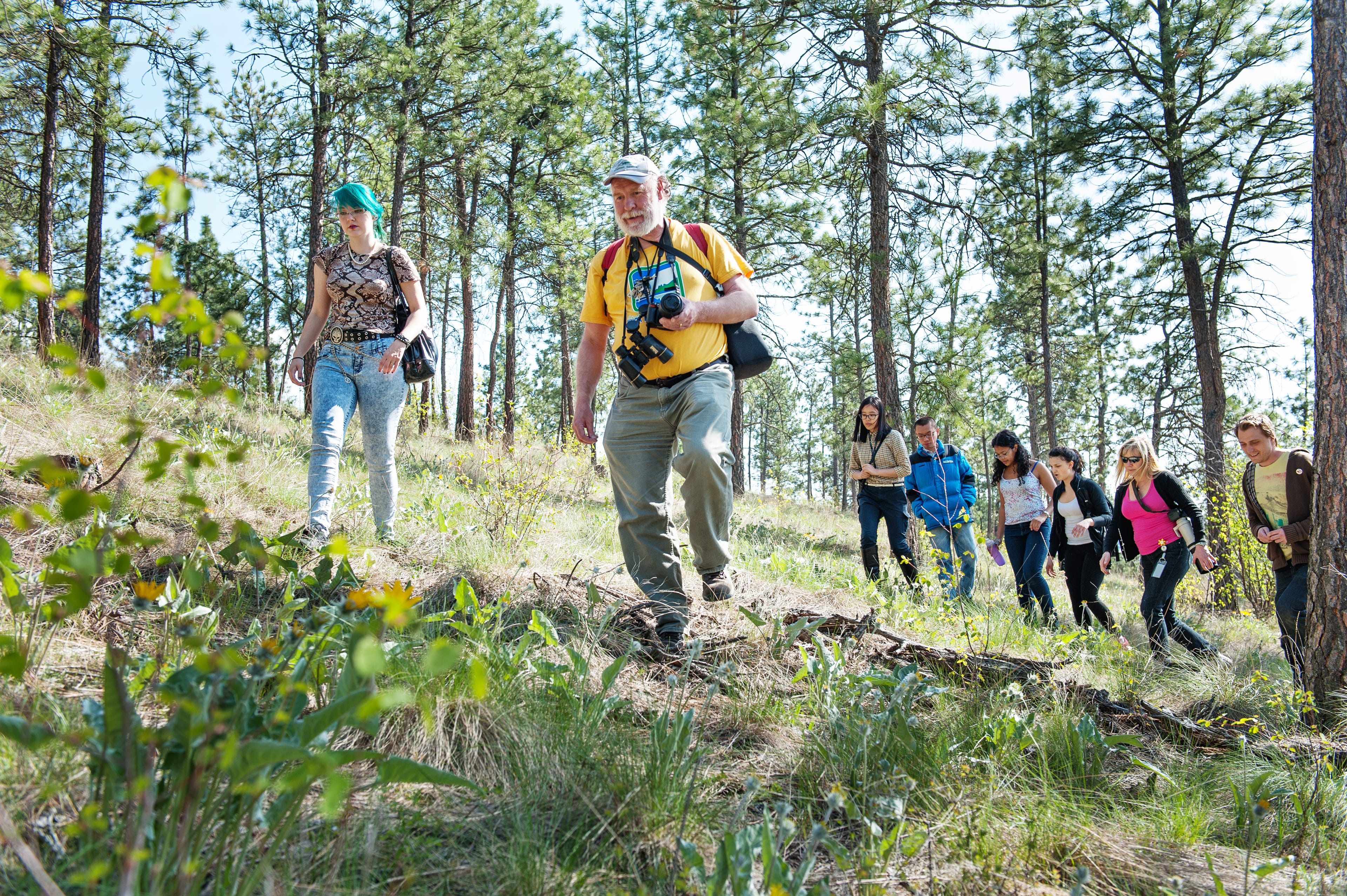 Students in the field. (Martin Dee/UBC Okanagan)