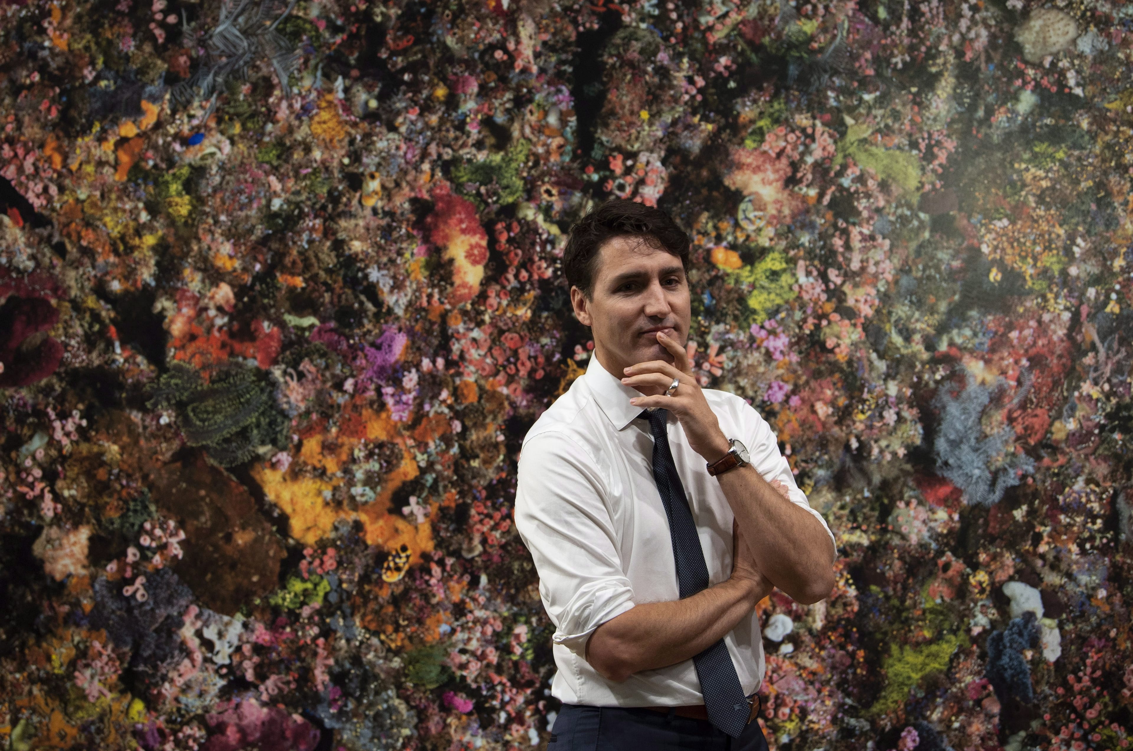 Prime Minister Justin Trudeau stands in front of an image of a coral wall as he walks through the National Gallery in Ottawa, Monday, Oct. 29, 2018. (THE CANADIAN PRESS/Adrian Wyld)