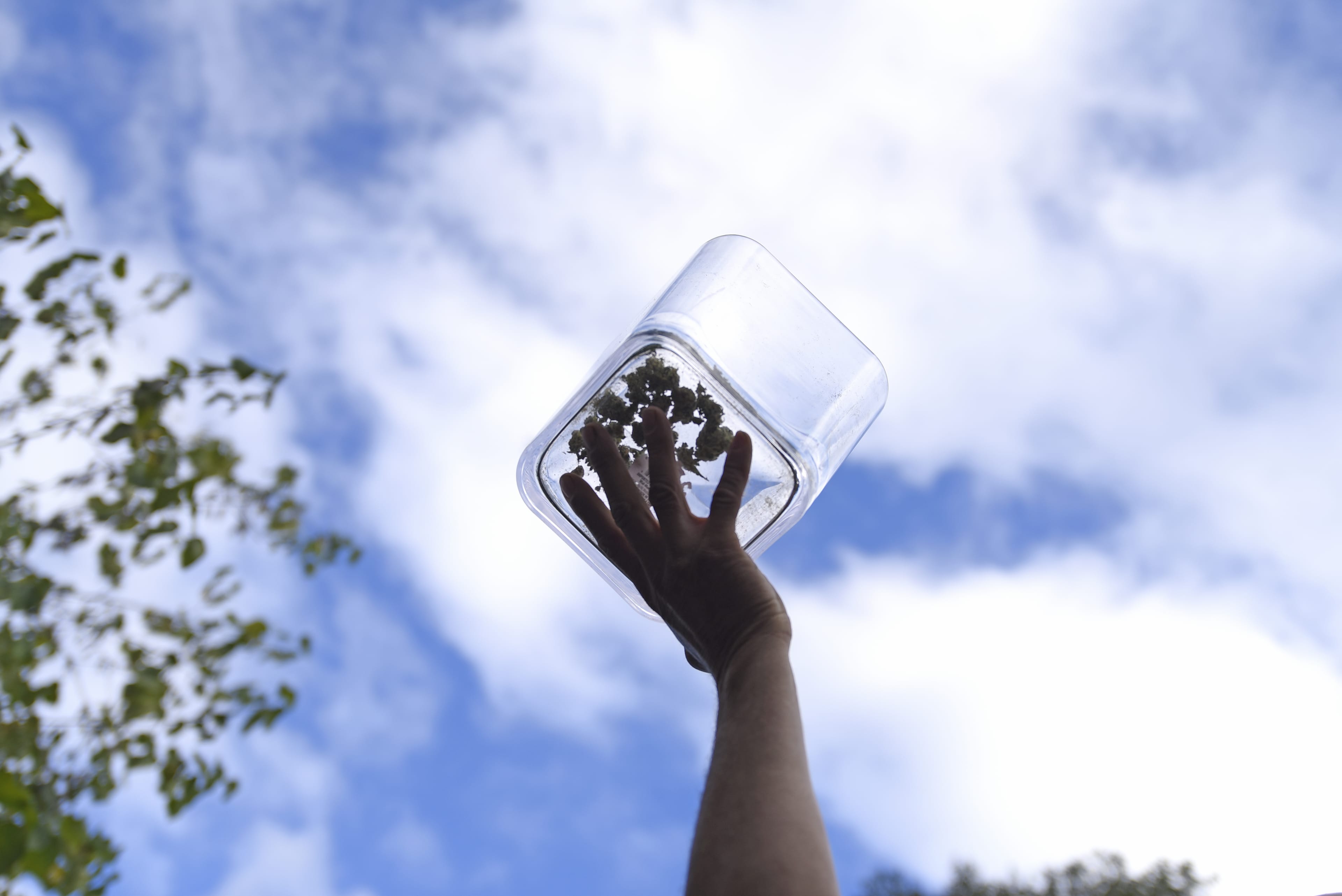 A supporter holds up a glass jar while asking people to donate marijuana leaves during the Cannabis Legalization Day celebration in Toronto, Canada, on Oct. 17. (Arindam Shivaani/NurPhoto via Getty Images)