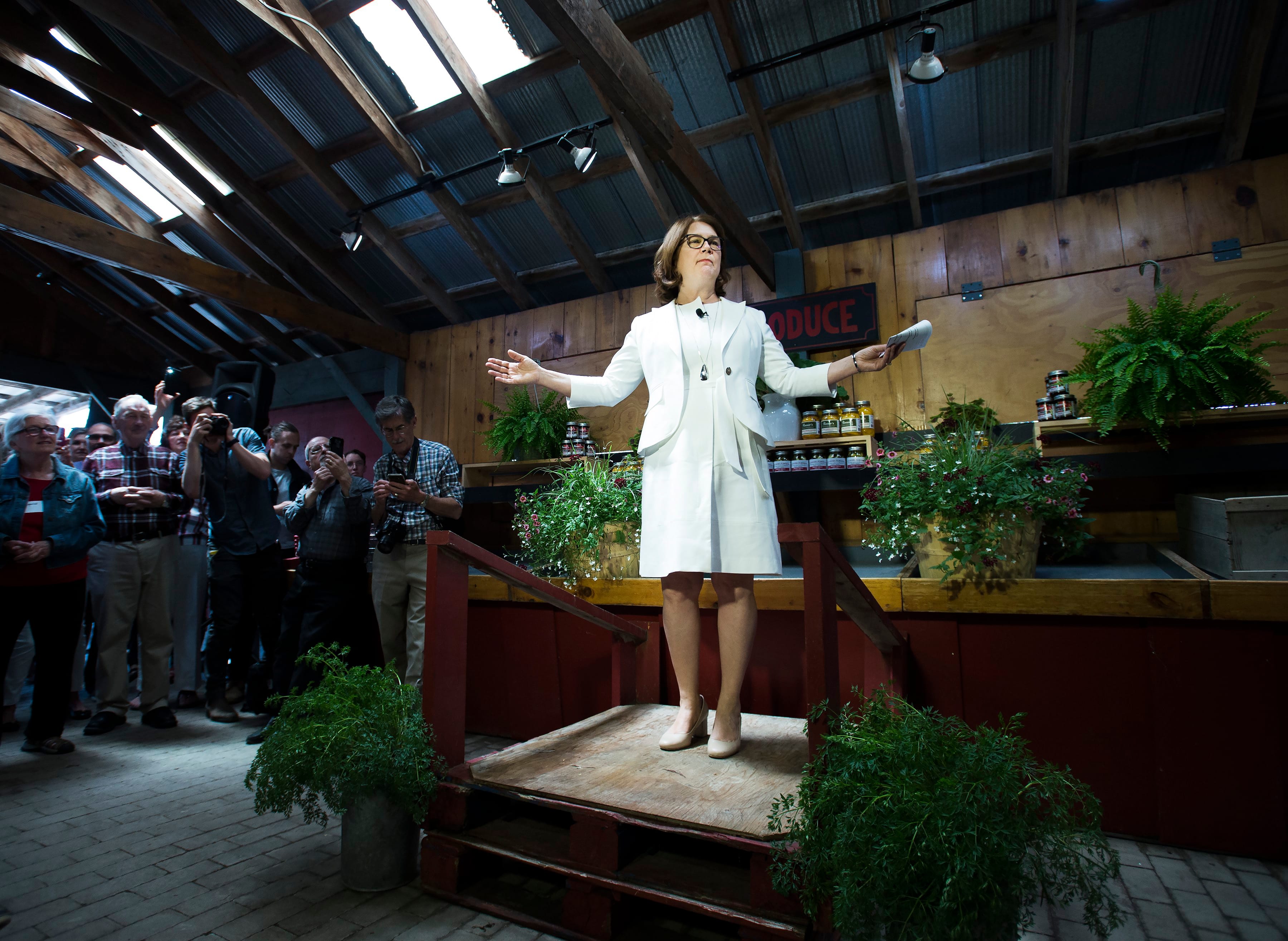 Philpott makes an announcement about running in the next federal election as an independent in Markham, Ont., on May 27, 2019. (THE CANADIAN PRESS/Nathan Denette)