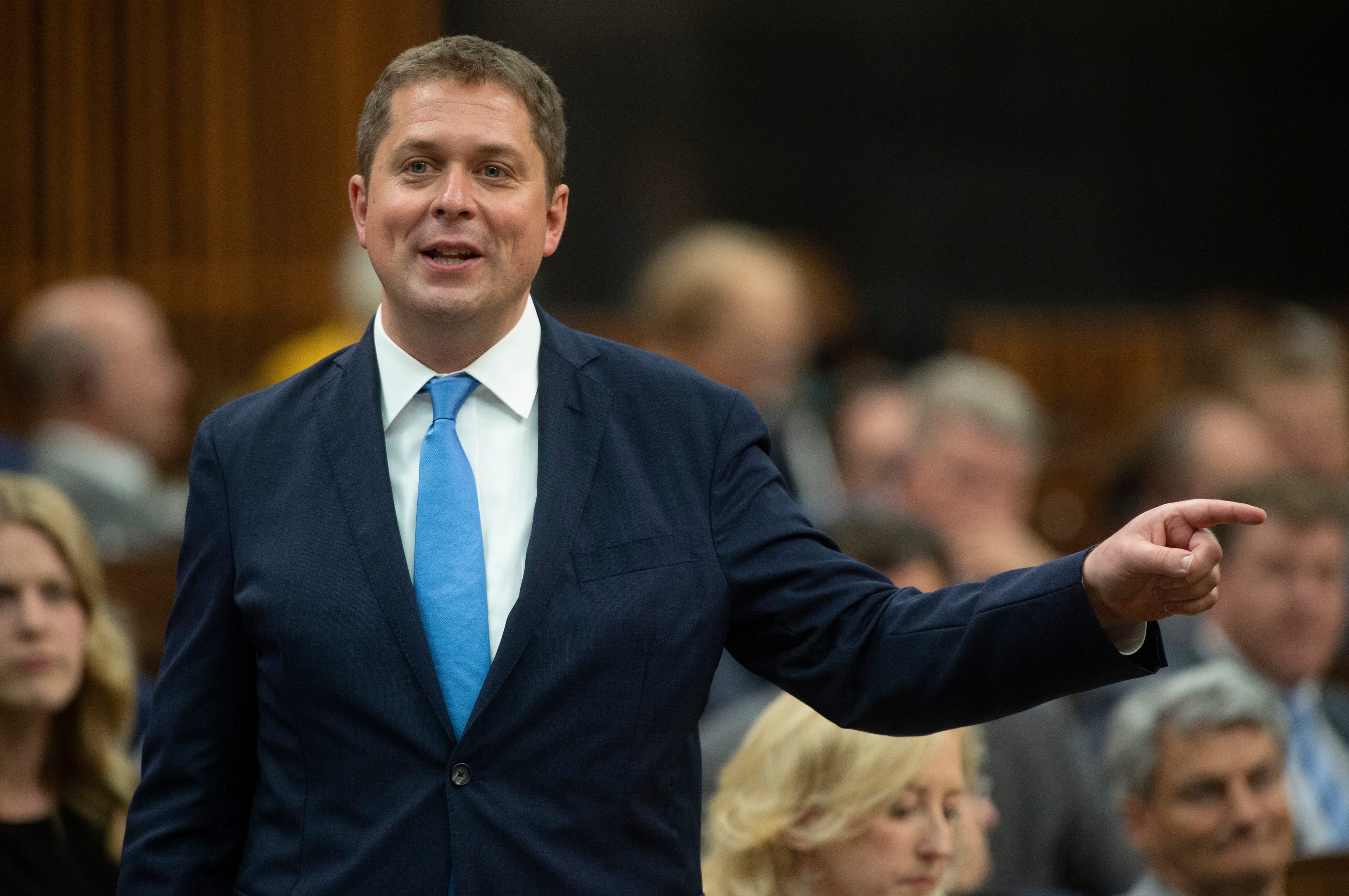 Scheer rises during Question Period in the House of Commons on June 19, 2019 (Adrian Wyld/CP)