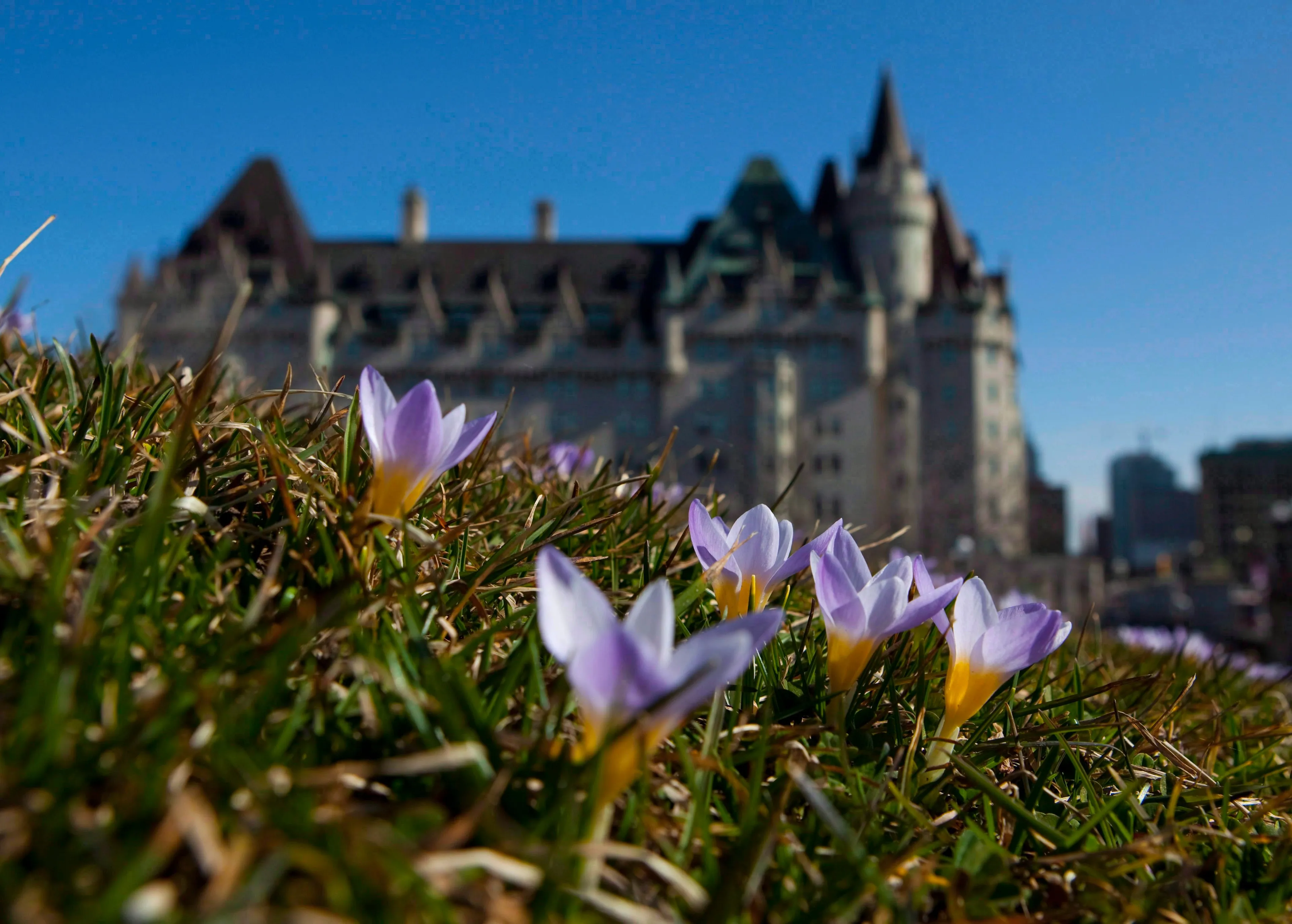 The Chateau Laurier hotel as seen from the lawn of the East BlocK of Parliament Hill (Sean Kilpatrick/CP)