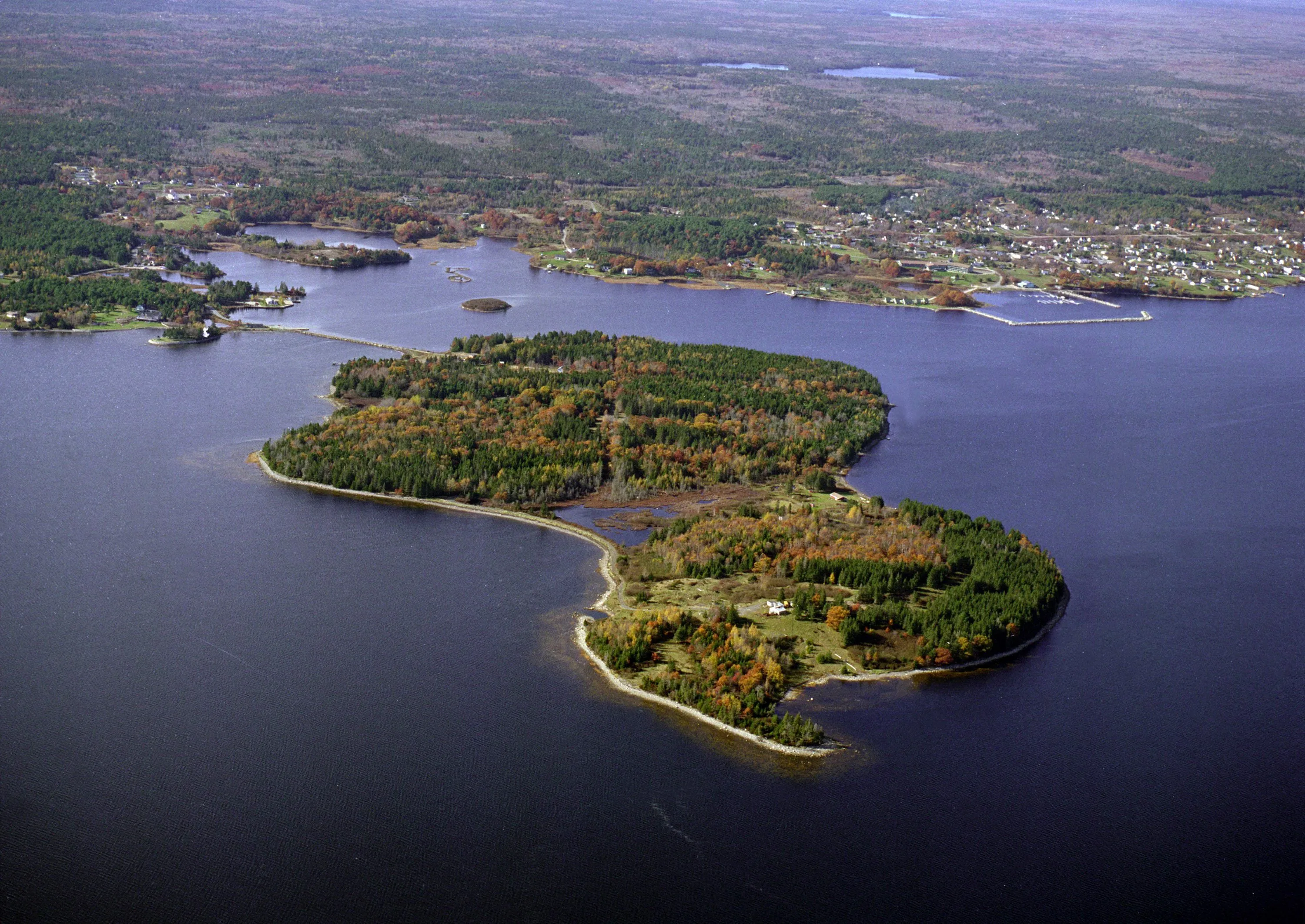 Could Oak Island be home to hidden treasure, or is it just the site of an enduring tall tale? (Len Wagg/CP)