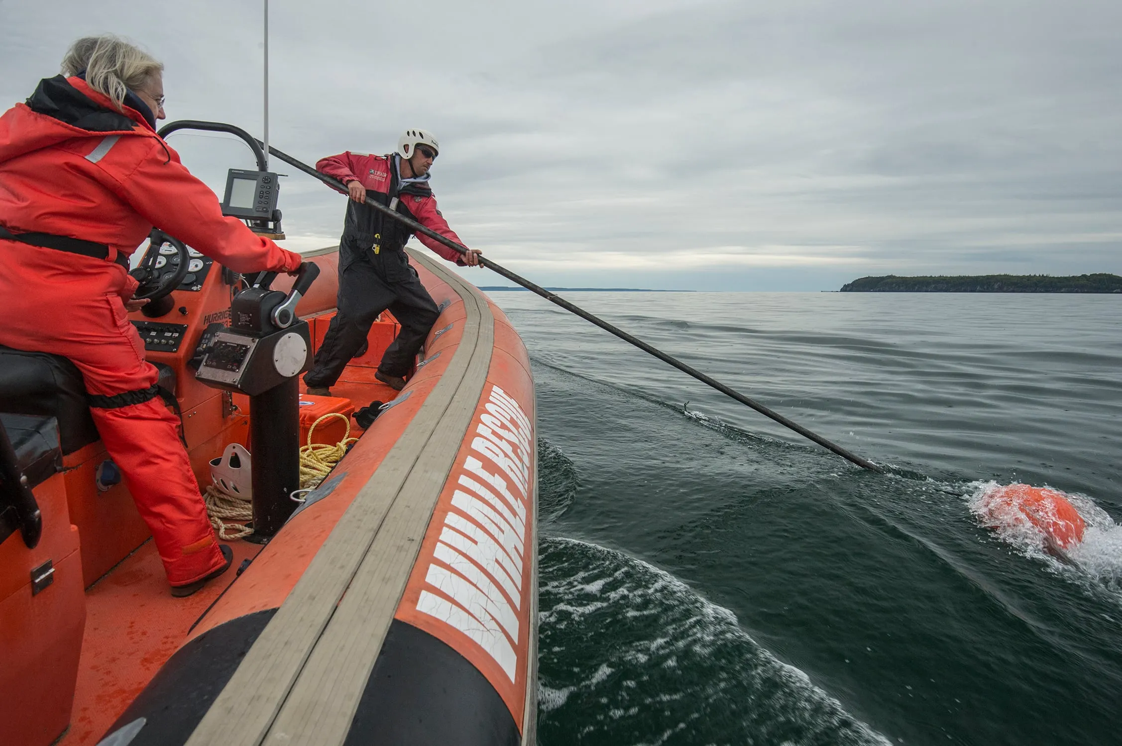 Mackie Greene and Moira Brown during a whale rescue mission (Nick Hawkins)