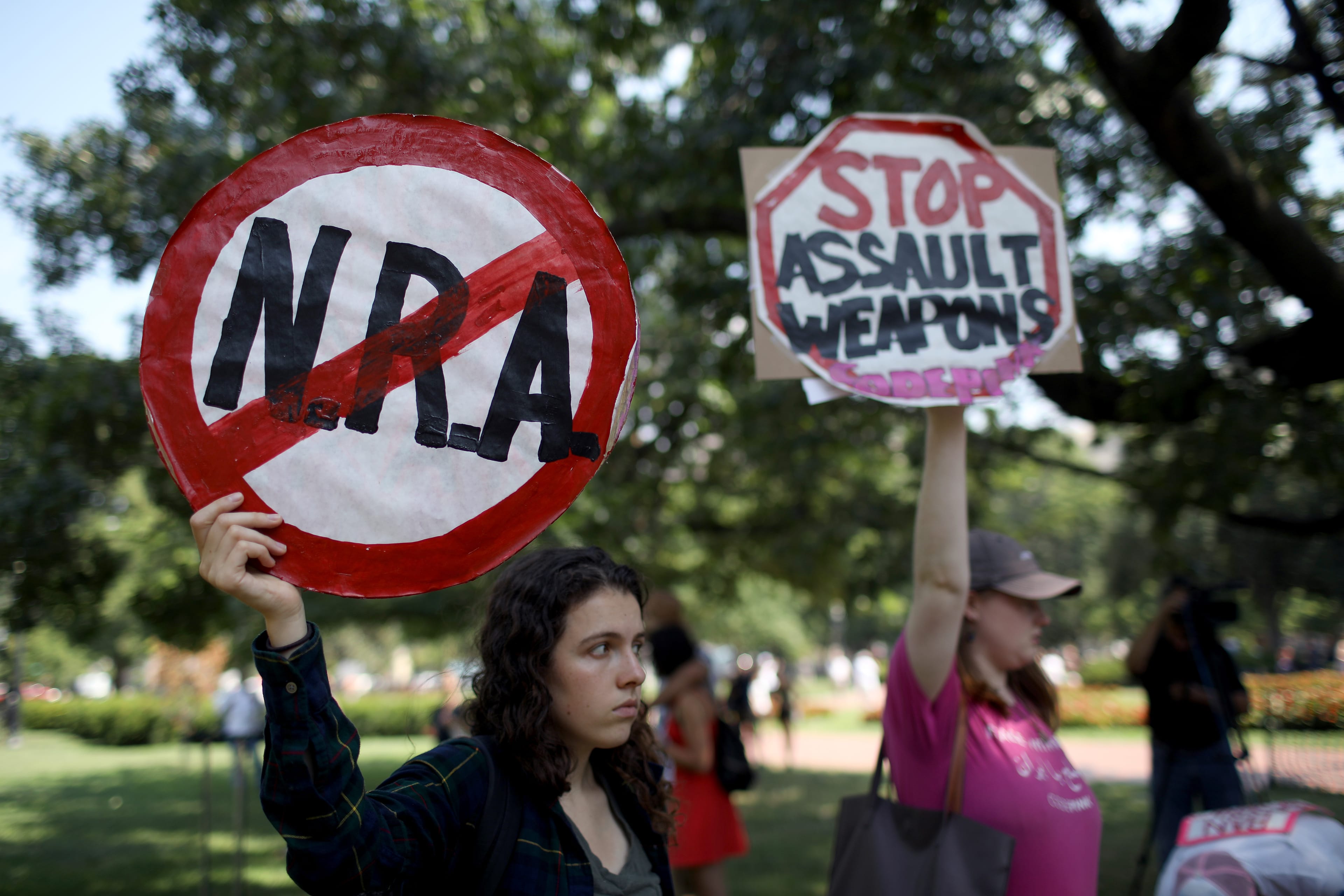 Activists gather across from the White House during a gun reform legislation rally on Aug. 6, 2019 in Washington, DC (Win McNamee/Getty Images)