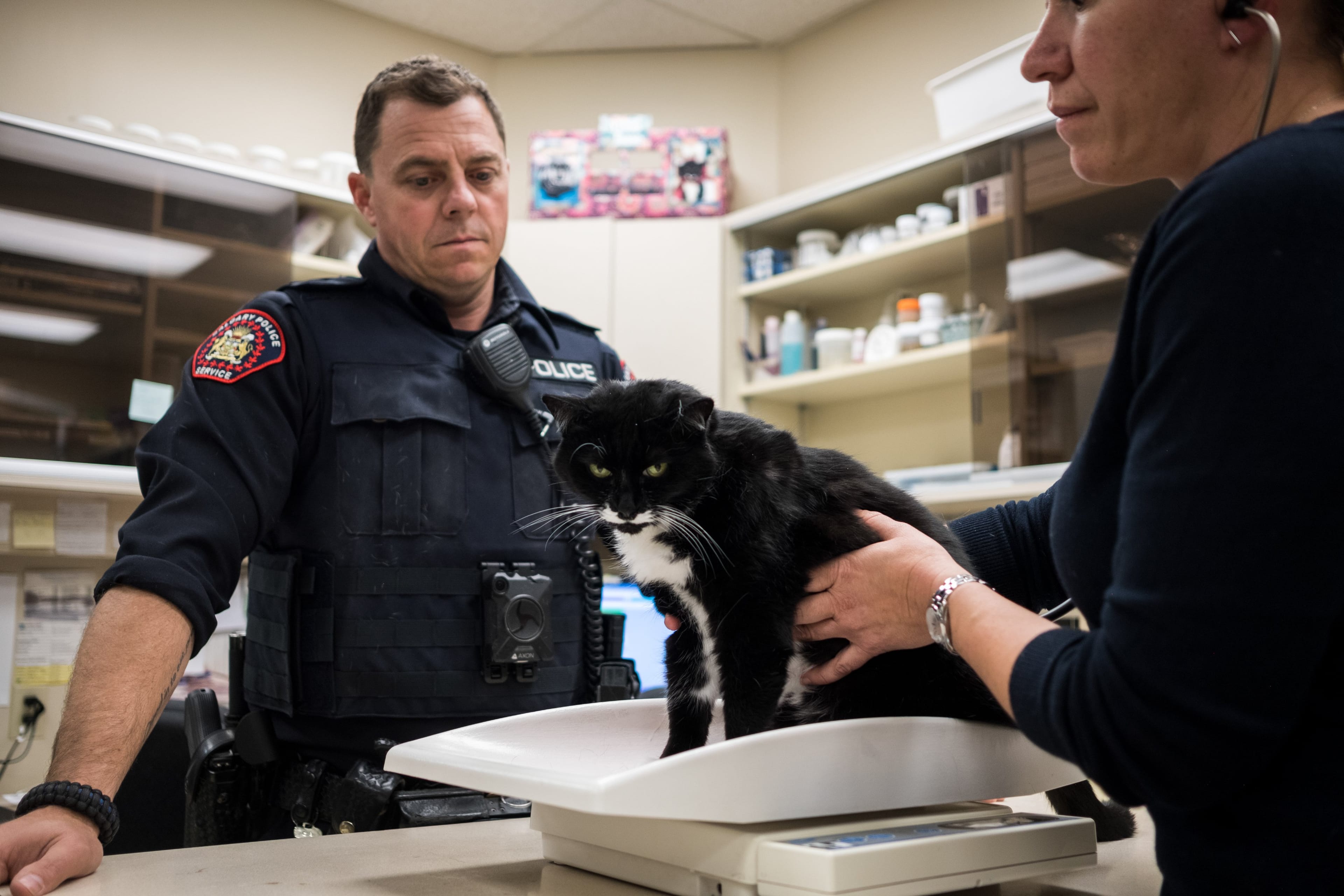 Forensic veterinarian Margaret Doyle (right) works with Cons. Dennis Smithson as part of a unit that investigates the abuse of animals (Photograph by Jeff McIntosh)