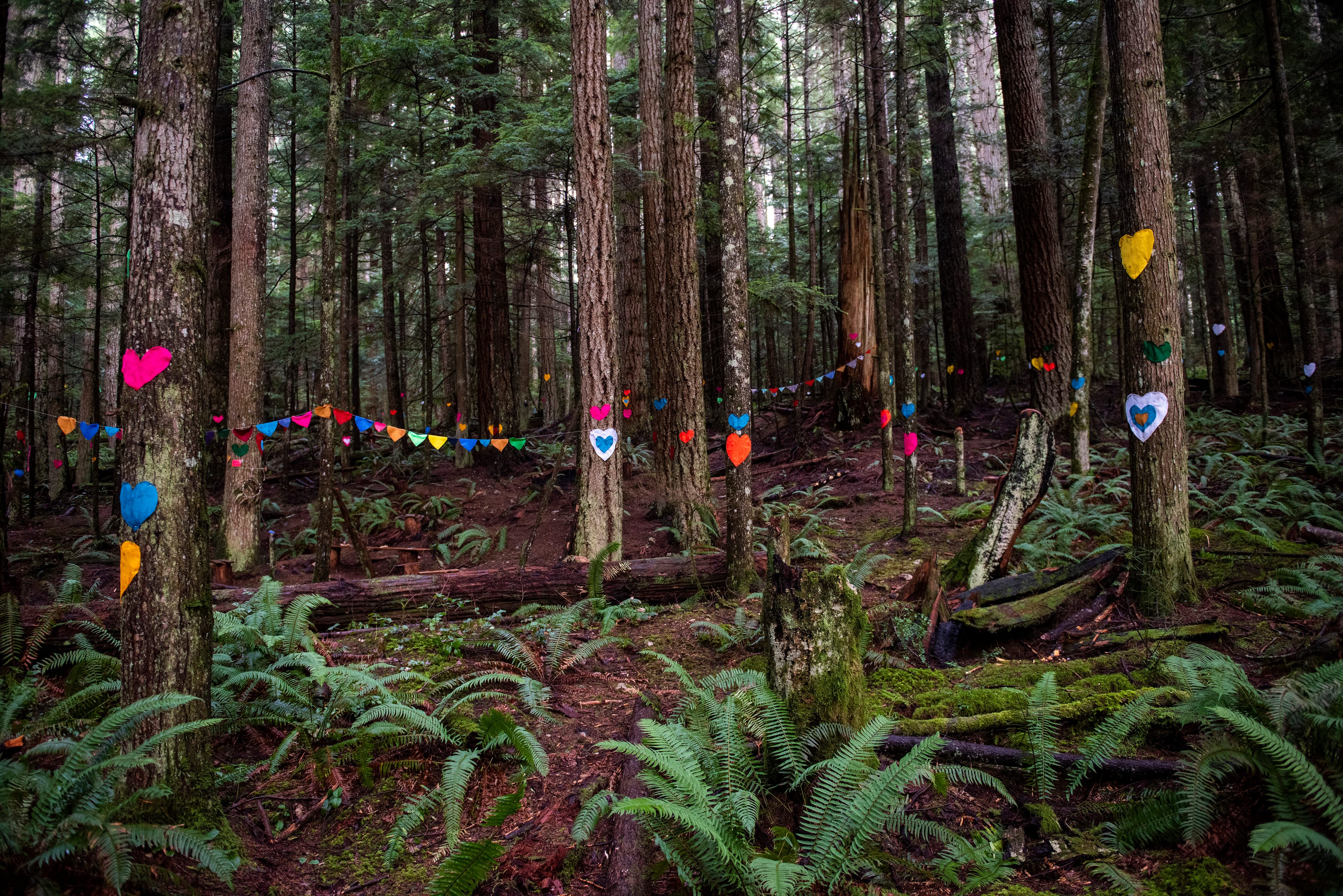 Roberts Creek, B.C. - A group trying to save areas of the Clack Forest hike the area. (Photograph by Jimmy Jeong)