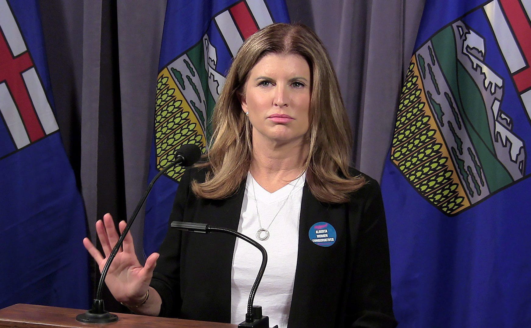 Former federal Conservative interim leader Rona Ambrose speaks to reporters in Red Deer, Alta., on May 5, 2018. (Dean Bennett/CP)