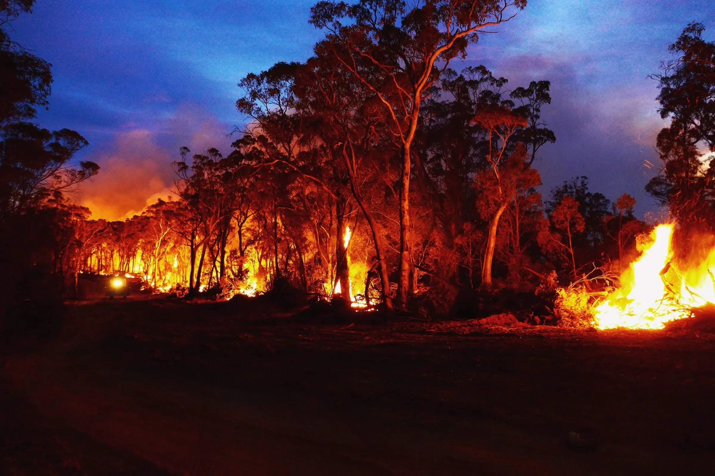 Mike MacGregor, Graham Trenholm and their firefighting team worked to protect the Jenolan Caves, the largest caves in Australia and a major tourist attraction. (Courtesy of Graham Trenholm)