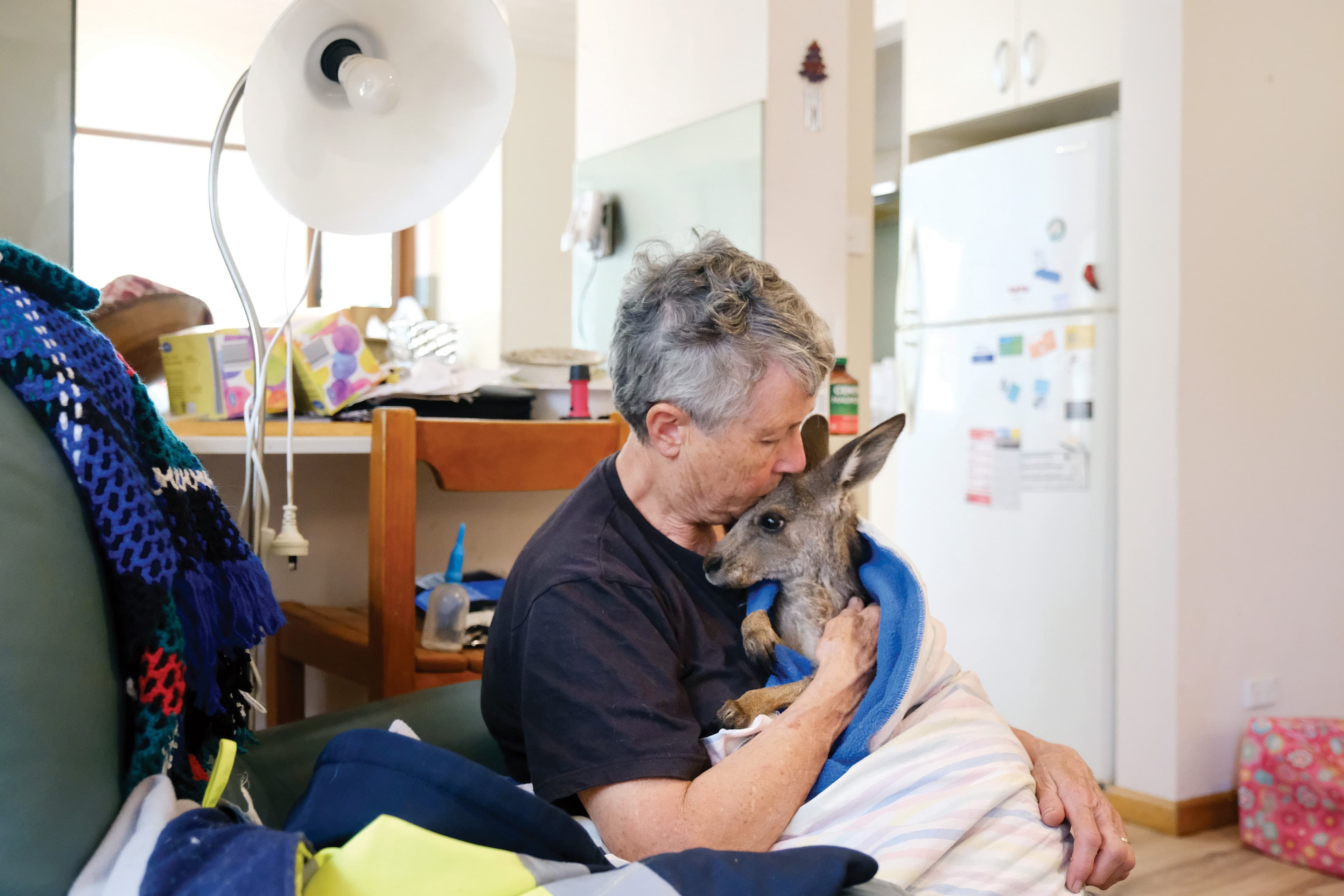 Rosemary Austen cares for an animal in her home that she and her husband converted into into a kangaroo recovery facilities. They take care of burn victims from the fires, and they also host animals with a slew of other health issues. They also have 2 wombats on their property, one is recovering from Mange.