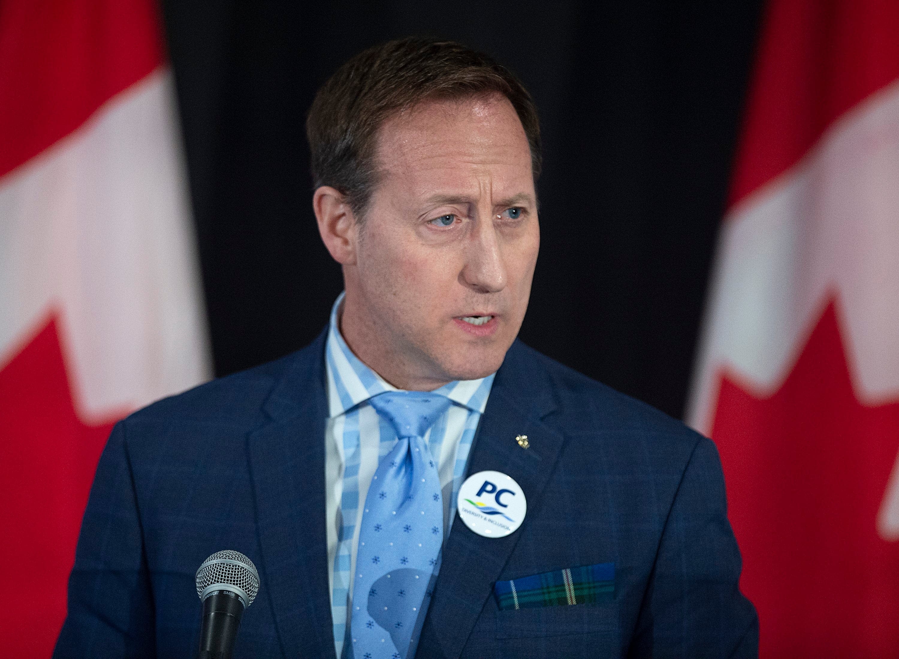 Peter MacKay addresses the crowd at a federal Conservative leadership forum during the annual general meeting of the Nova Scotia Progressive Conservative party in Halifax on Feb. 8, 2020. The 2020 Conservative Party of Canada leadership election will be held on June 27, 2020.