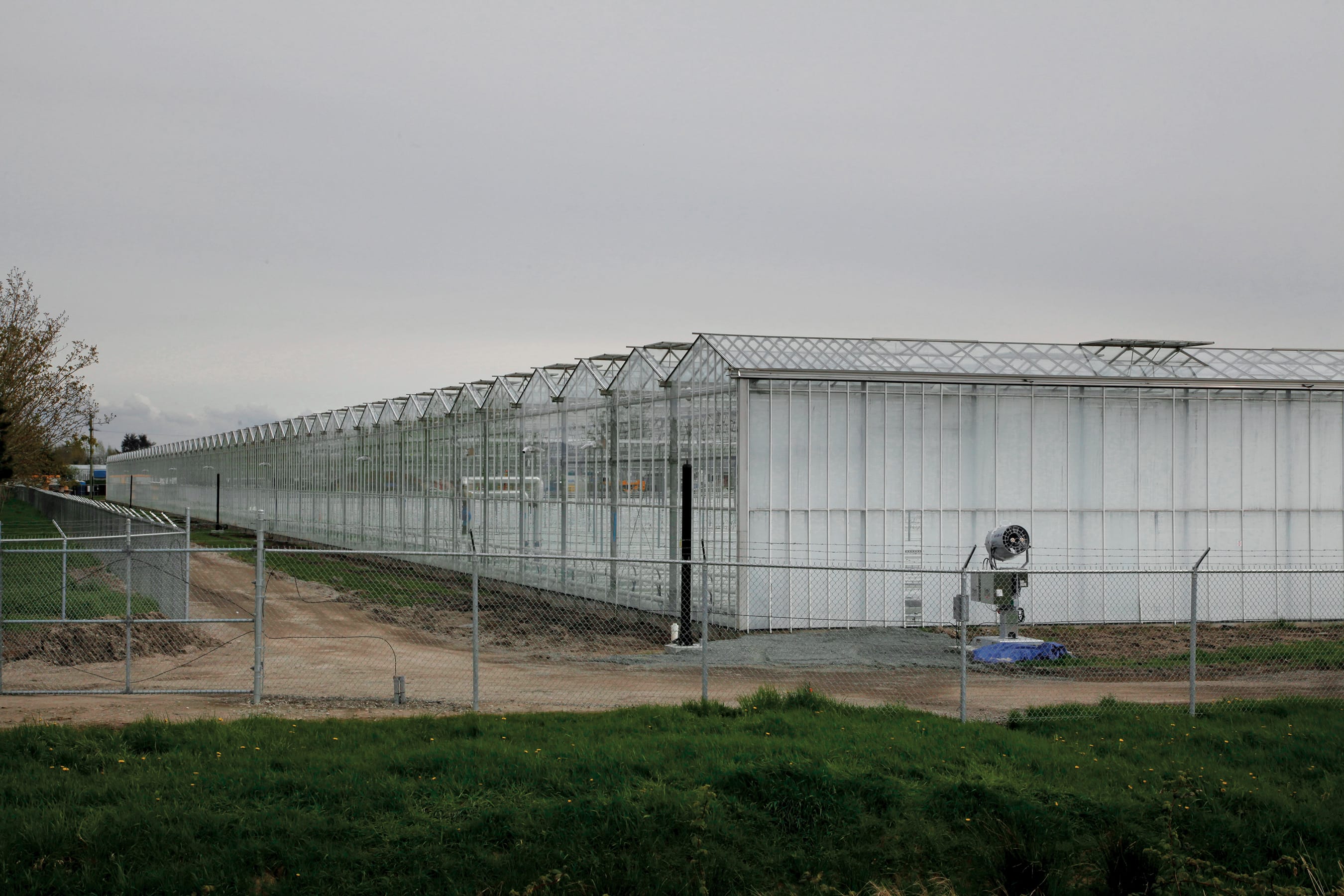 BC Tweed Joint Venture on the outskirts of Vancouver B.C. in Delta and Aldergrove BC. (Jen Osborne/Redux)
