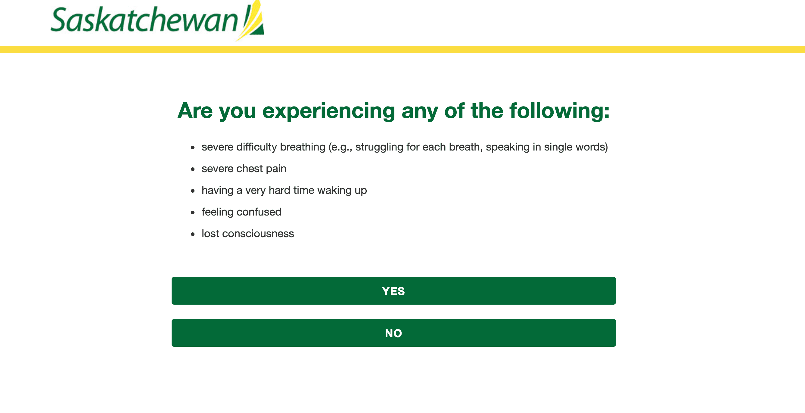 A screenshot of the Government of Saskatchewan self-assessment website