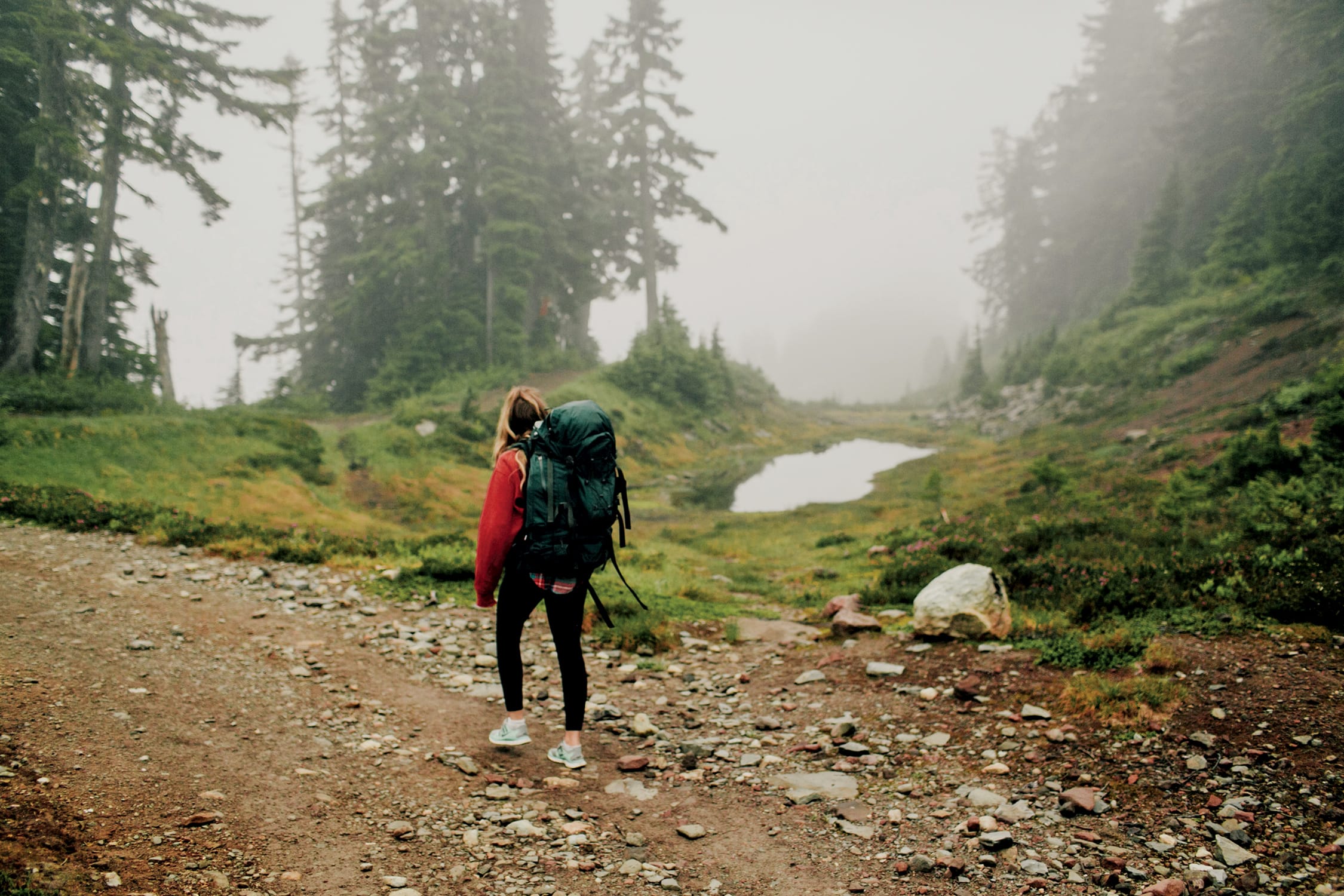 (Taylor Roades/Stocksy)