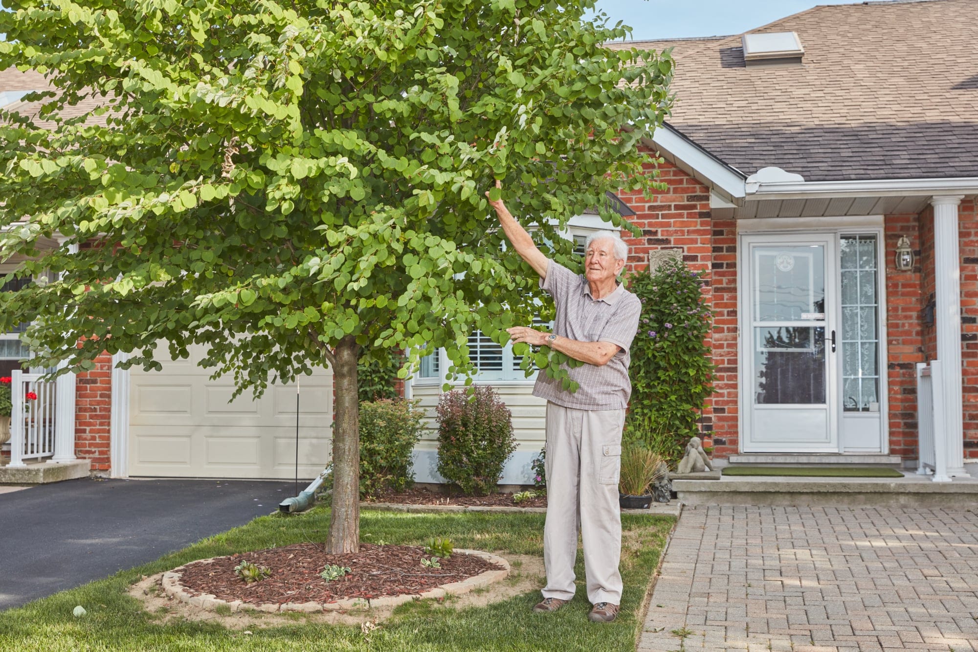 Prakke, with the katsura tree outside his home, is passionate about allergy-free gardening (Photograph by Carmen Cheung)