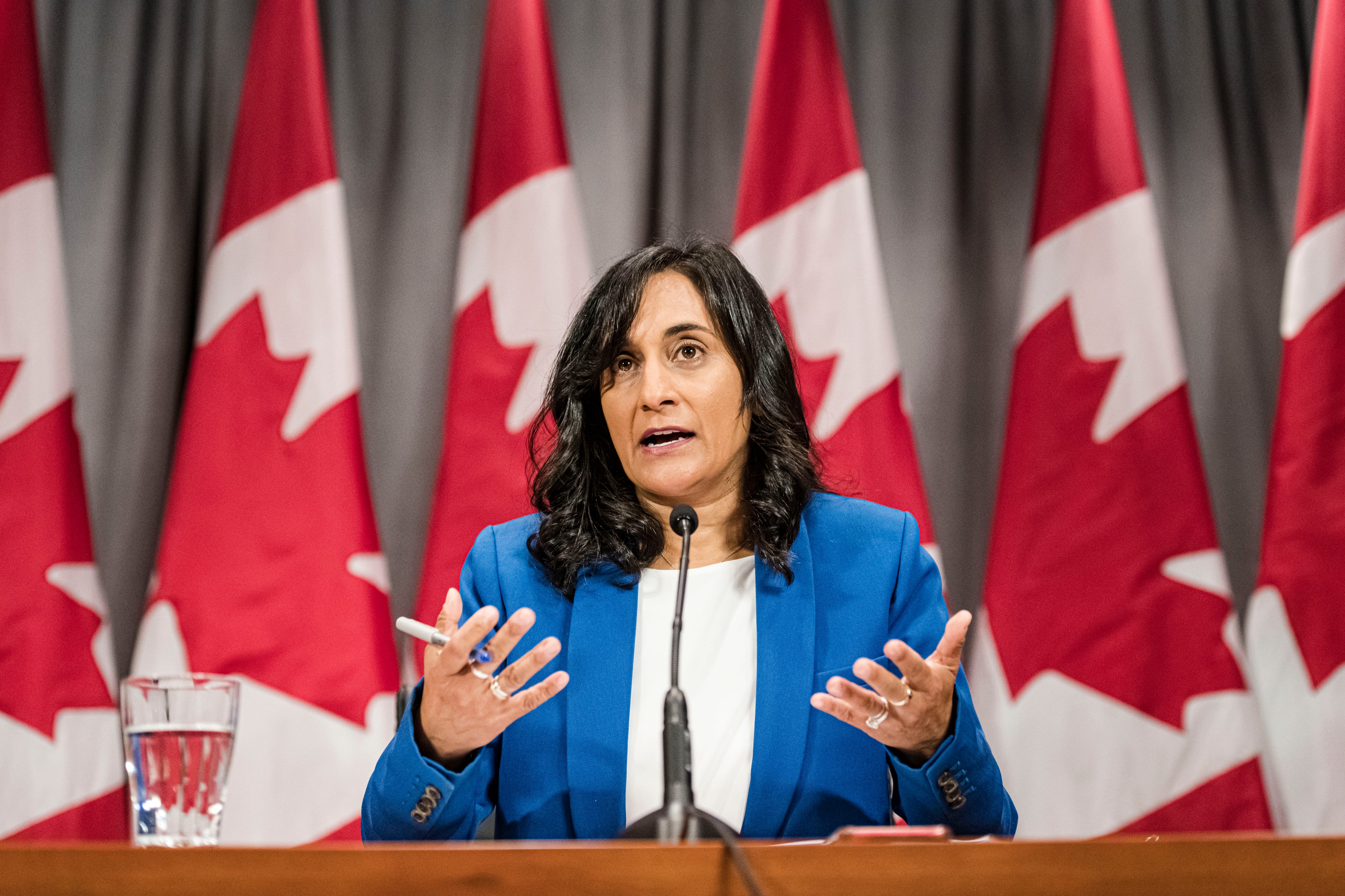 Anita Anand, Minister of Public Services and Procurement, makes an announcement regarding vaccine procurement, in Toronto, on Wed., Aug., 5, 2020. (Christopher Katsarov/CP)