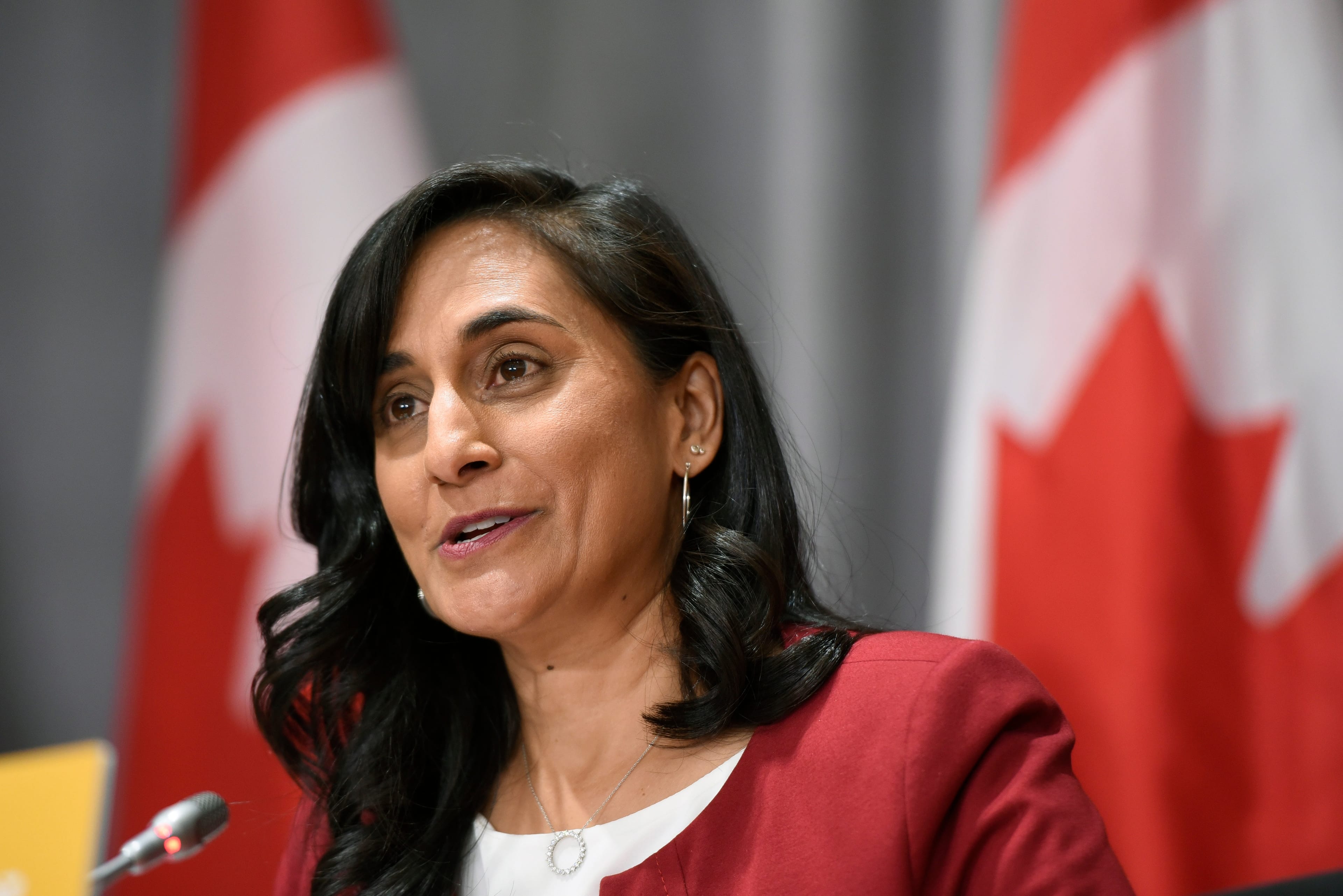 Minister of Public Services and Procurement Anita Anand speaks during a news conference on the COVID-19 pandemic on Parliament Hill in Ottawa, on Friday, Sept. 25, 2020. (Justin Tang/CP)