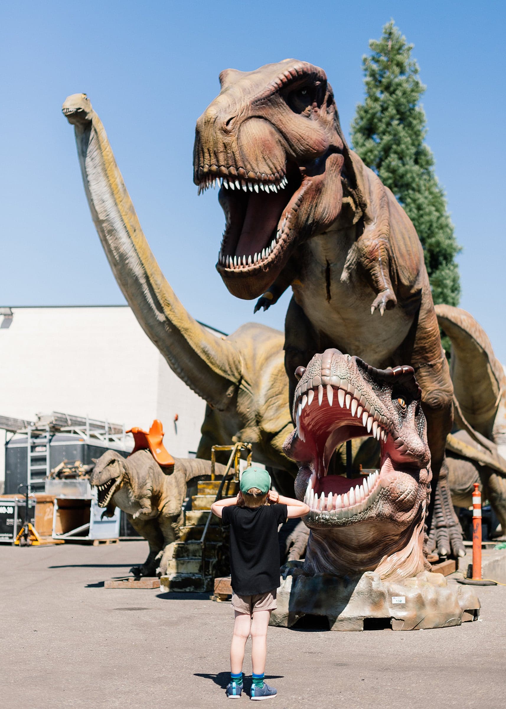Animatronic dinosaurs on auction at Able Auction house in Langley, BC. (Photograph by Alana Paterson)