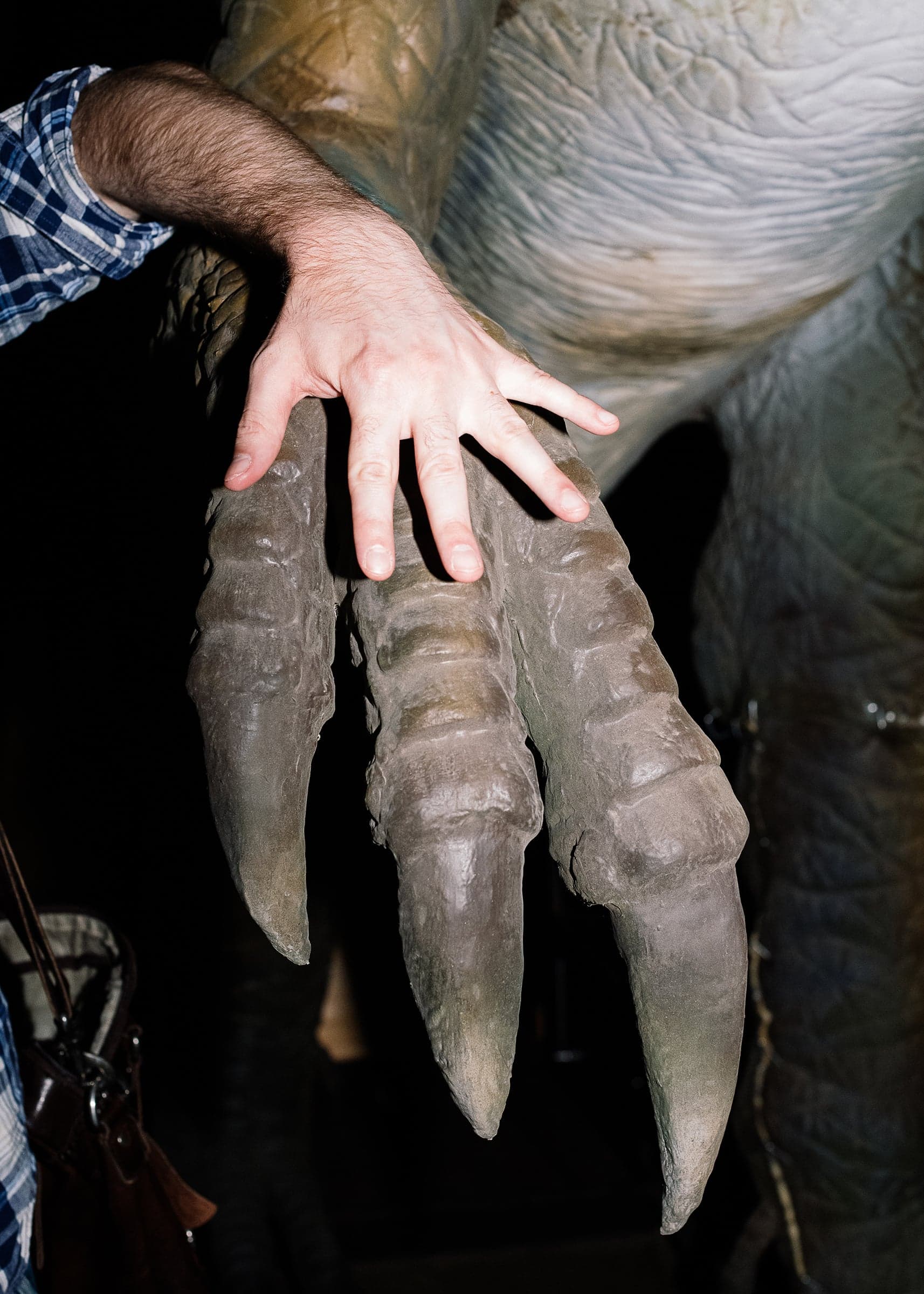 Animatronic dinosaurs on auction at Able Auction house in Langley, BC. (Photograph by Alana Paterson)
