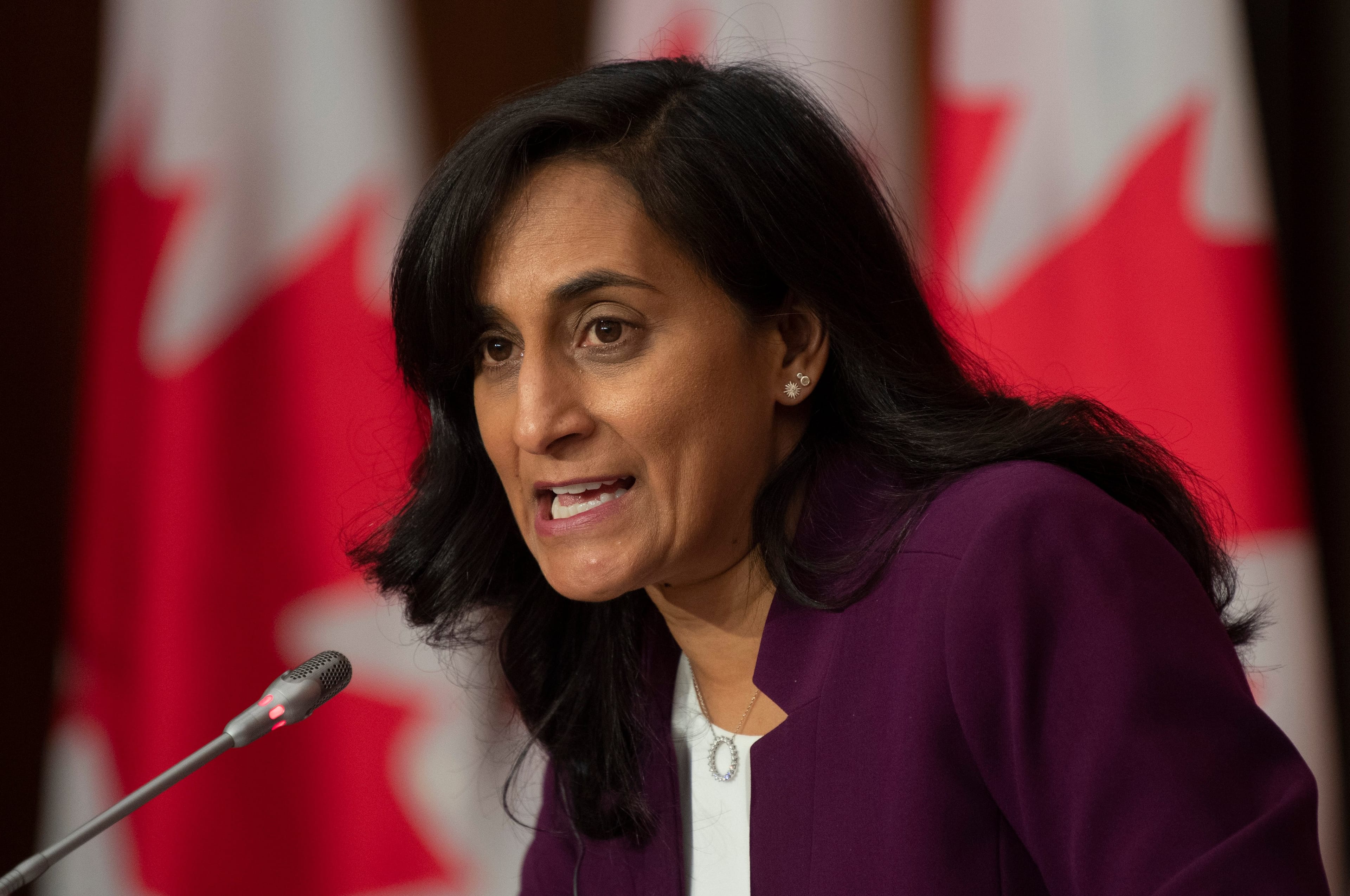 Public Services and Procurement Minister Anita Anand responds to a question during a news conference
Tuesday October 6, 2020 in Ottawa. (Adrian Wyld/CP)