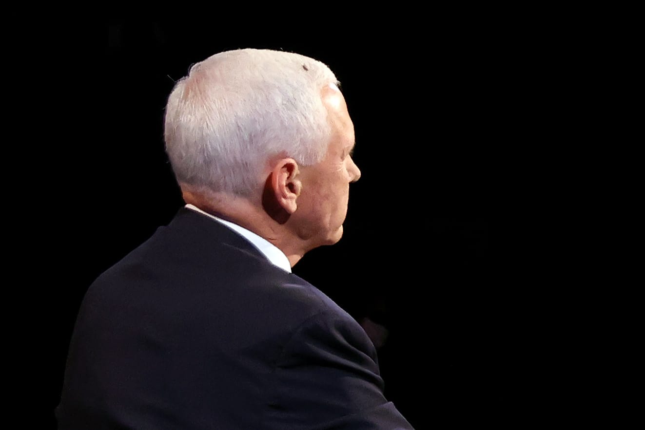 From top: the fly, and Mike Pence (Justin Sullivan/Getty Images)