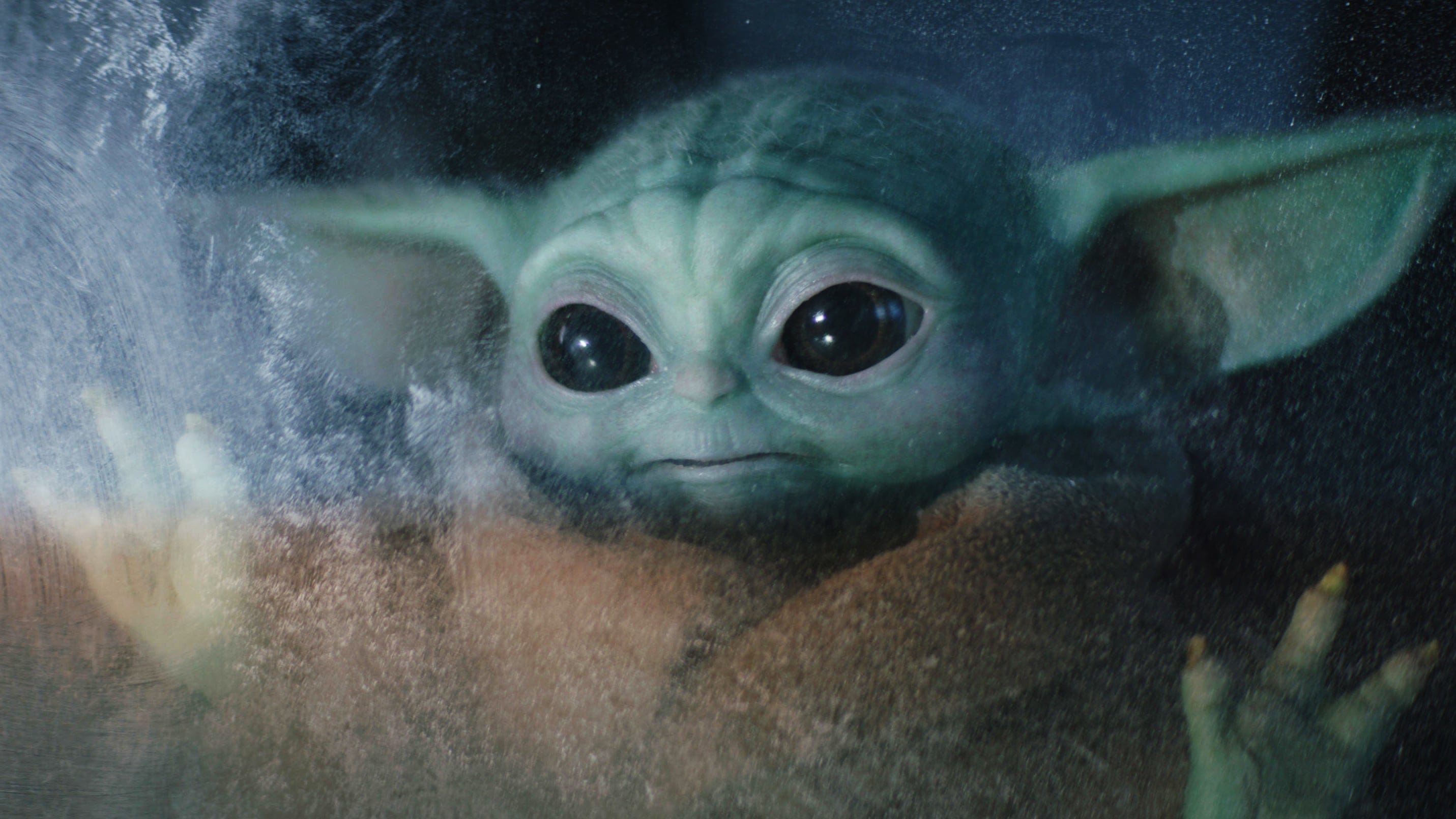 The Child in The Mandalorian, Season 2 (Courtesy of Lucasfilm Ltd/Disney+)