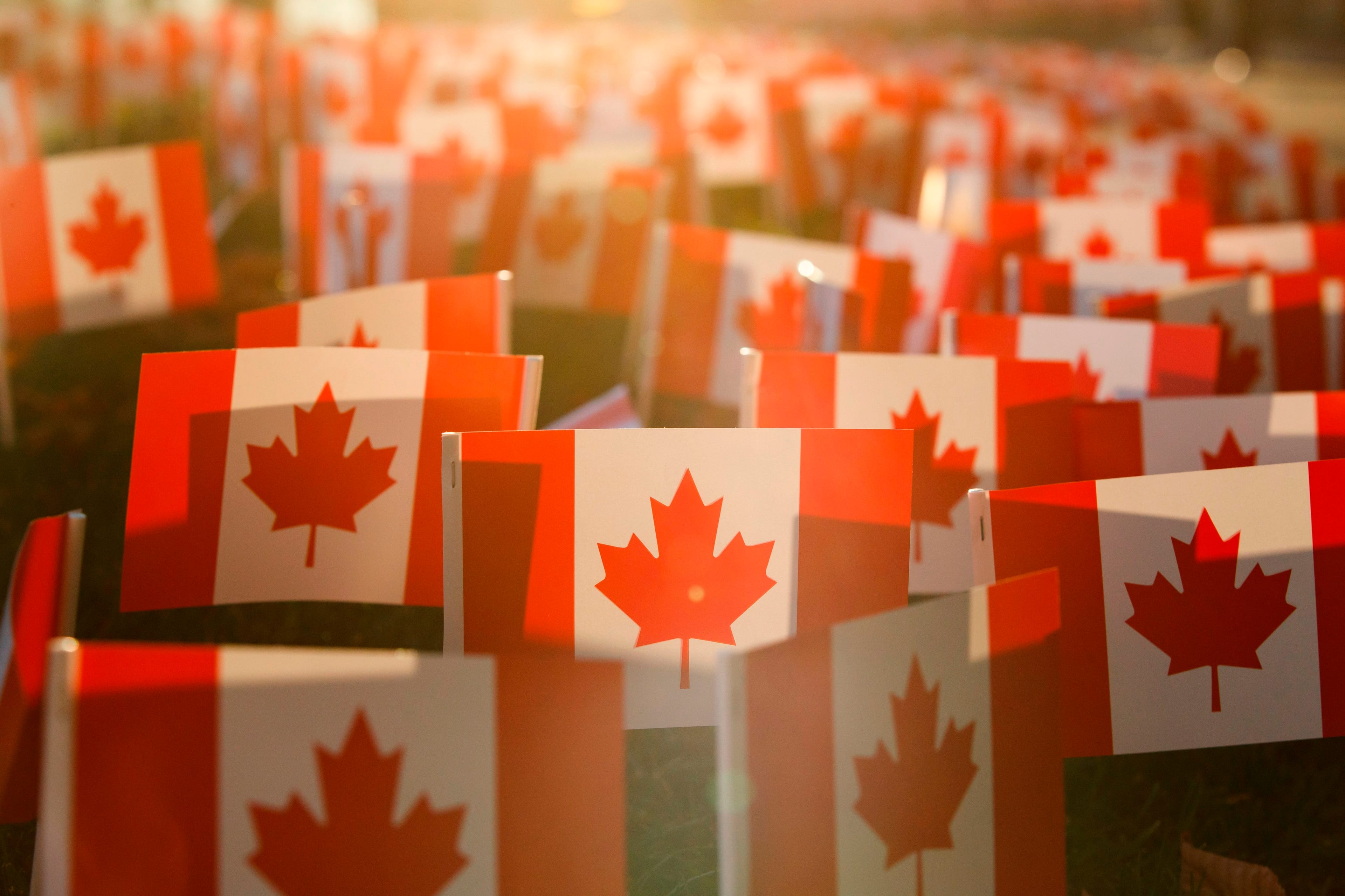 Miniature Canadian Flags are seen outside the Sunnybrook Hospital on Nov. 10, 2020, ahead of Remembrance Day in Toronto, Ontario, Canada. (Cole Burston/AFP via Getty Images)