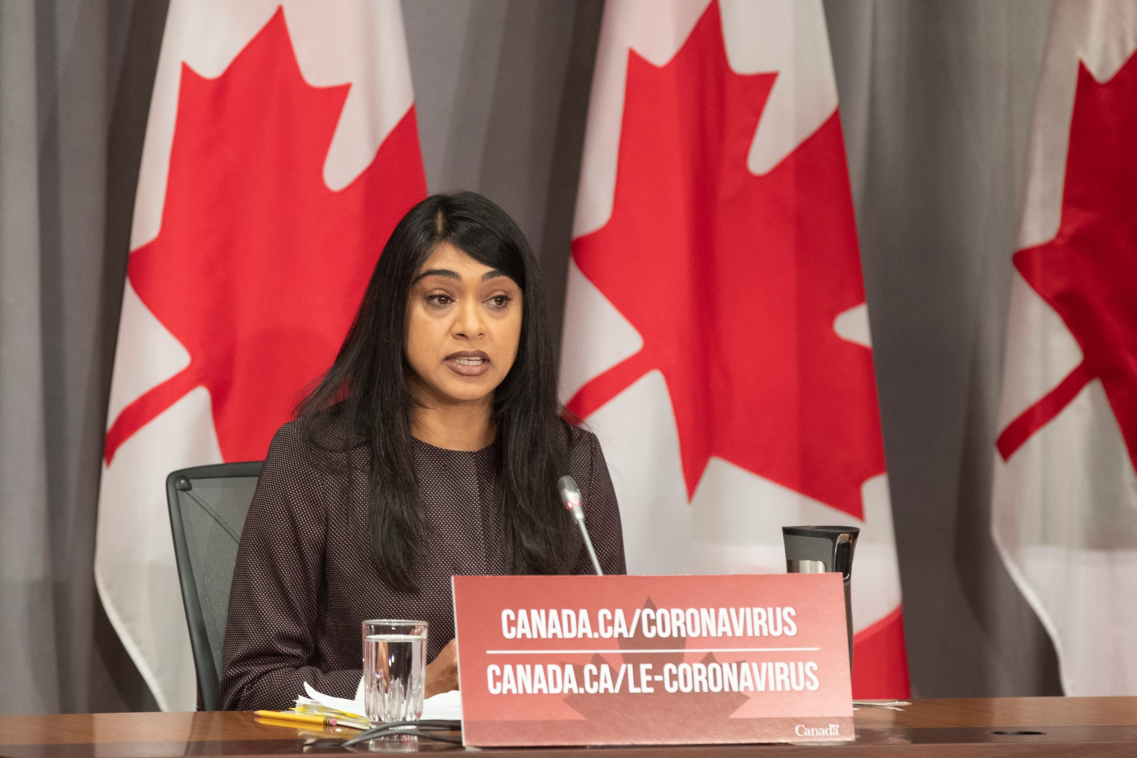 Minister of Diversity and Inclusion and Youth Bardish Chagger during a Government of Canada briefing in Ottawa on June 25, 2020. (Lars Hagberg/CP)