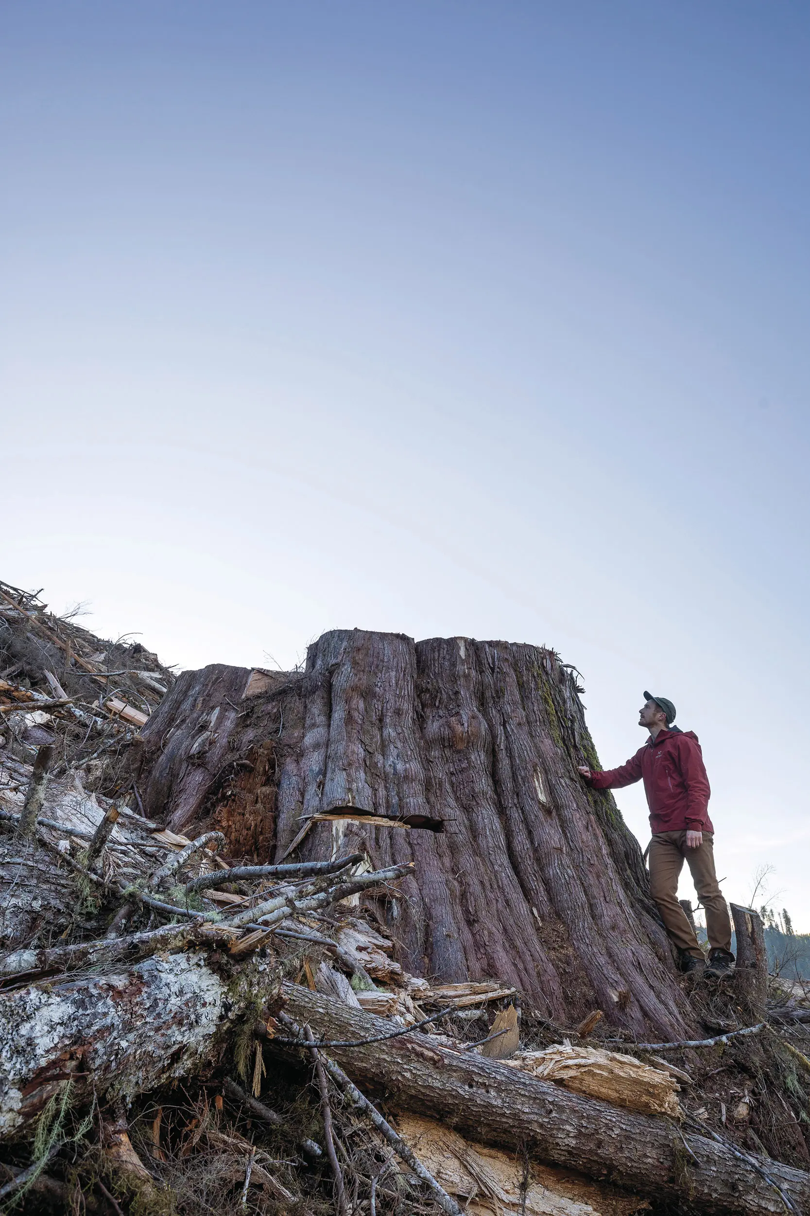 Watt’s ‘before and after’ photos have drawn worldwide attention to old-growth logging in B.C. (TJ Watt)