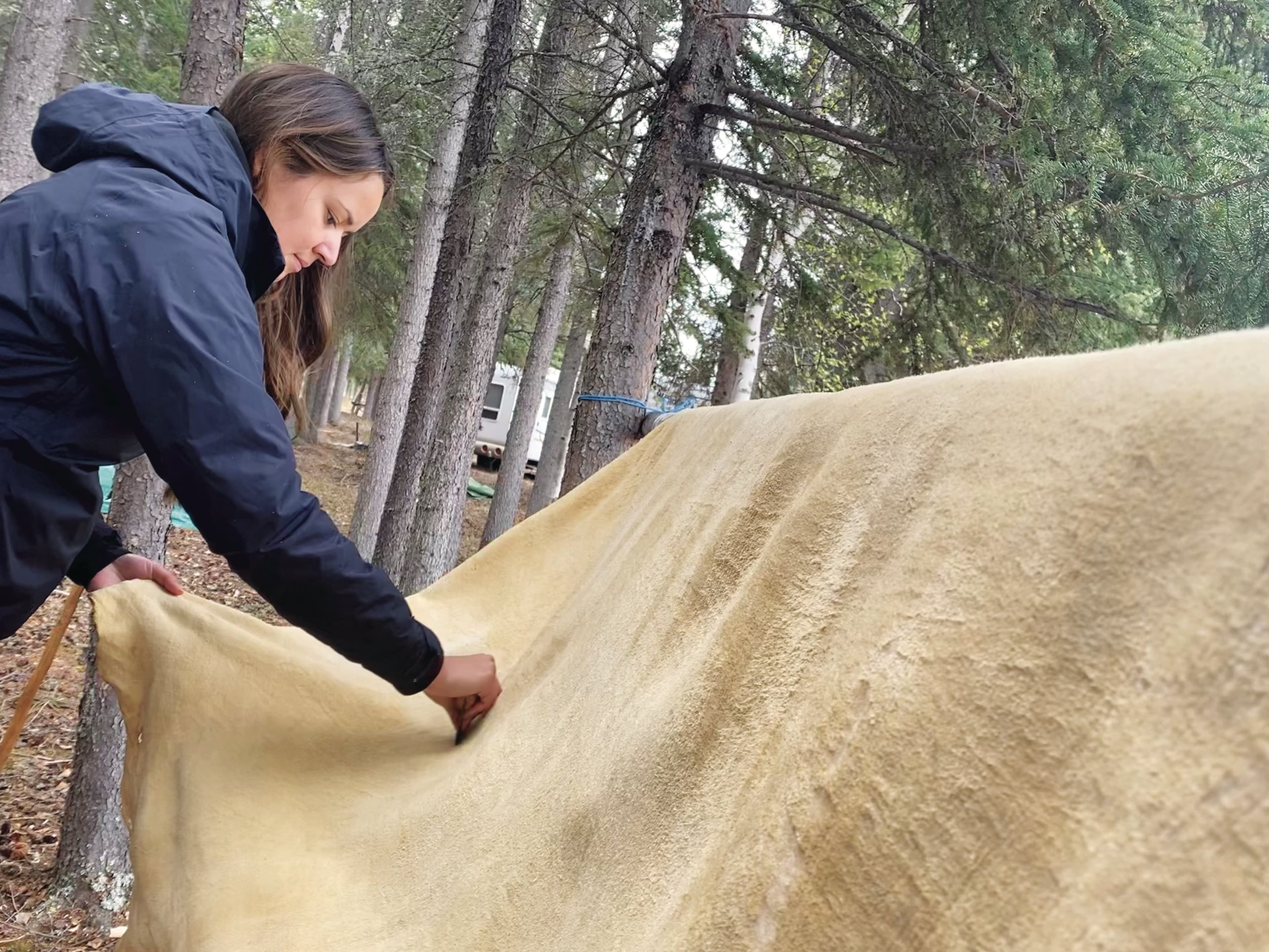 Kyla LeSage scrapes a partially smoked moose hide (Courtesy of Kyla LeSage/Dechinta Centre for Research and Learning)