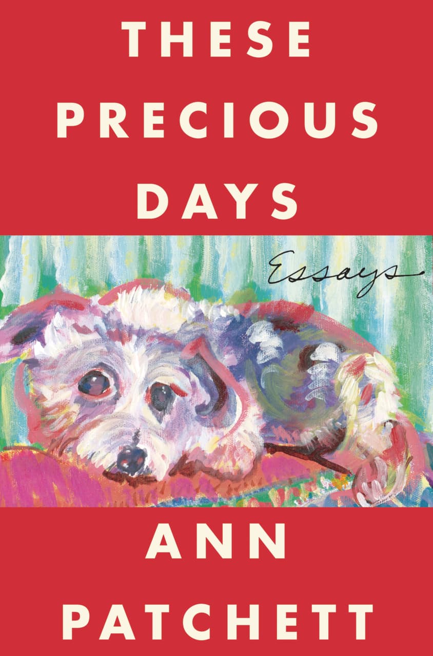 THESE PRECIOUS DAYS by Ann Patchett