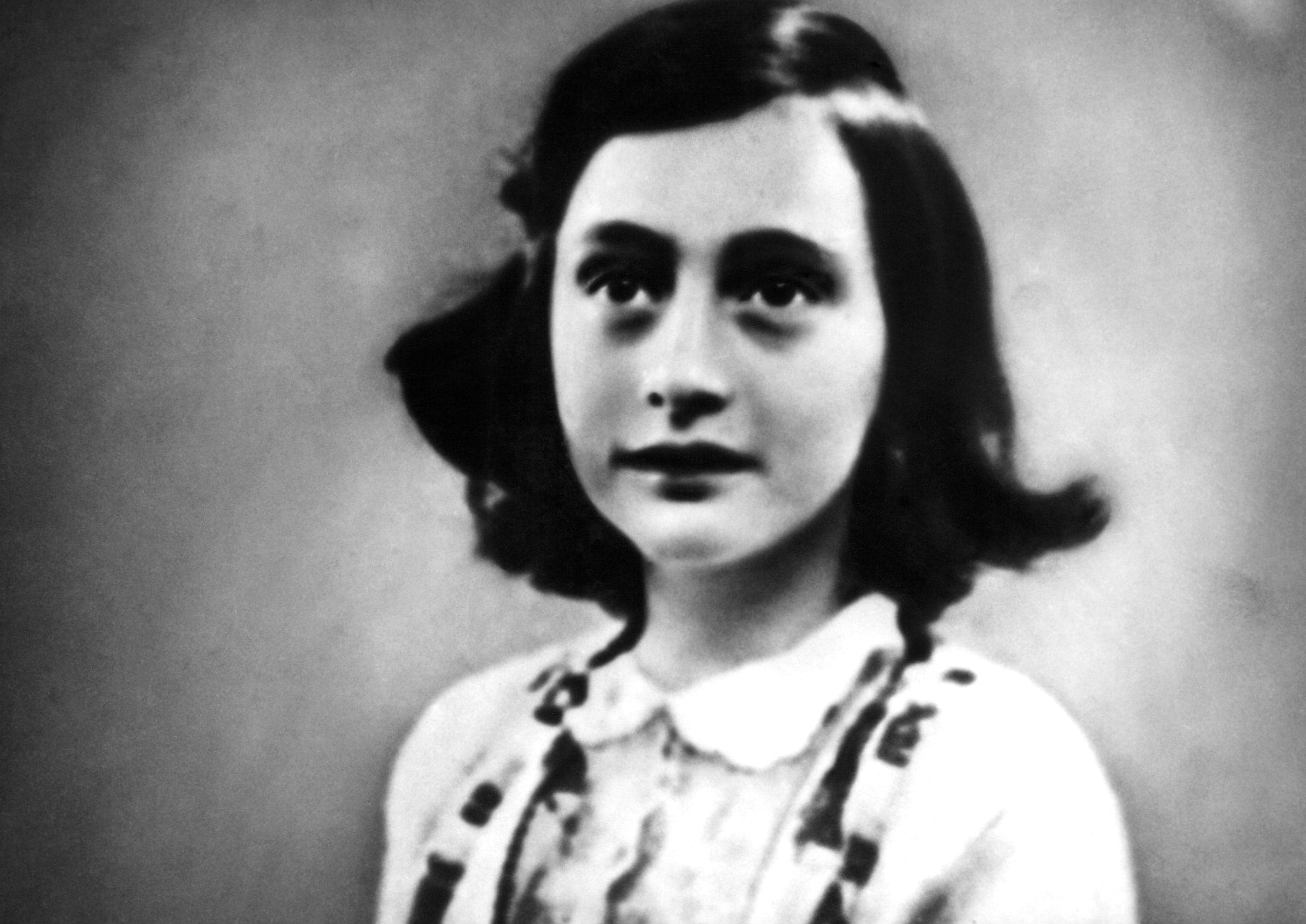 The search for Anne Frank's betrayer
