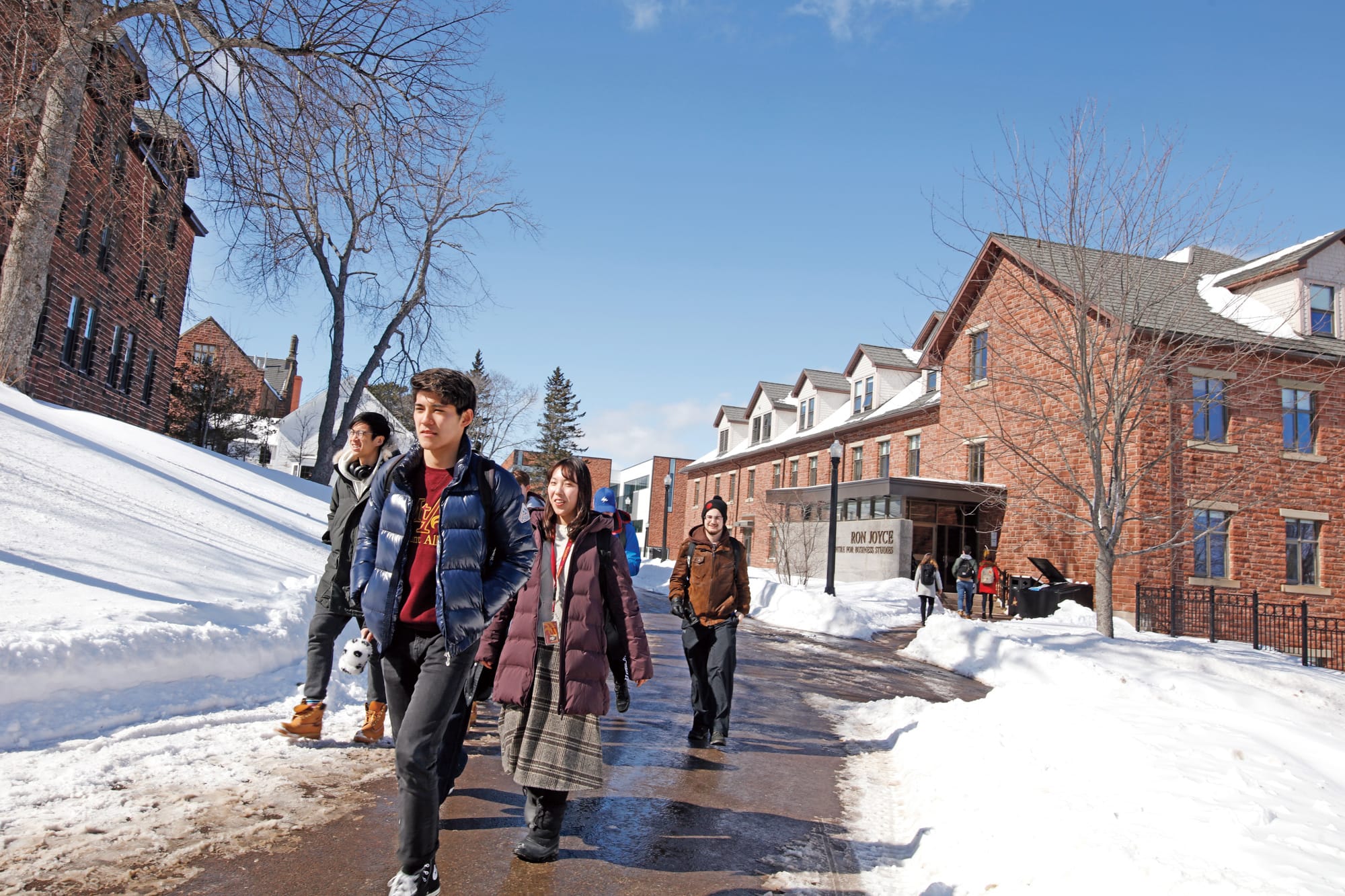 (Courtesy of Mount Allison University)