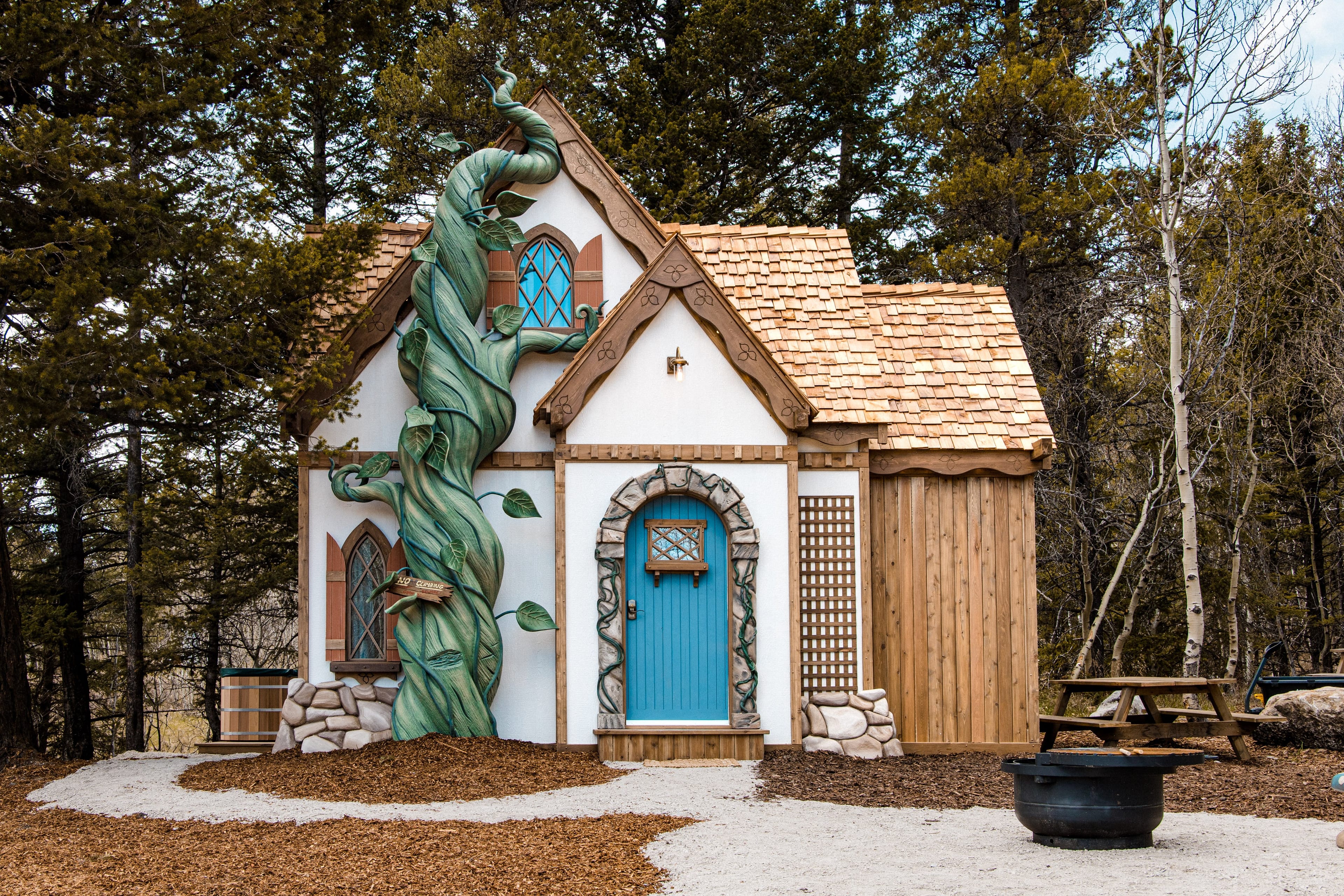 Jack’s upgrade - from the beanstalk to this rustic cottage (Photo: Dayton Jans)