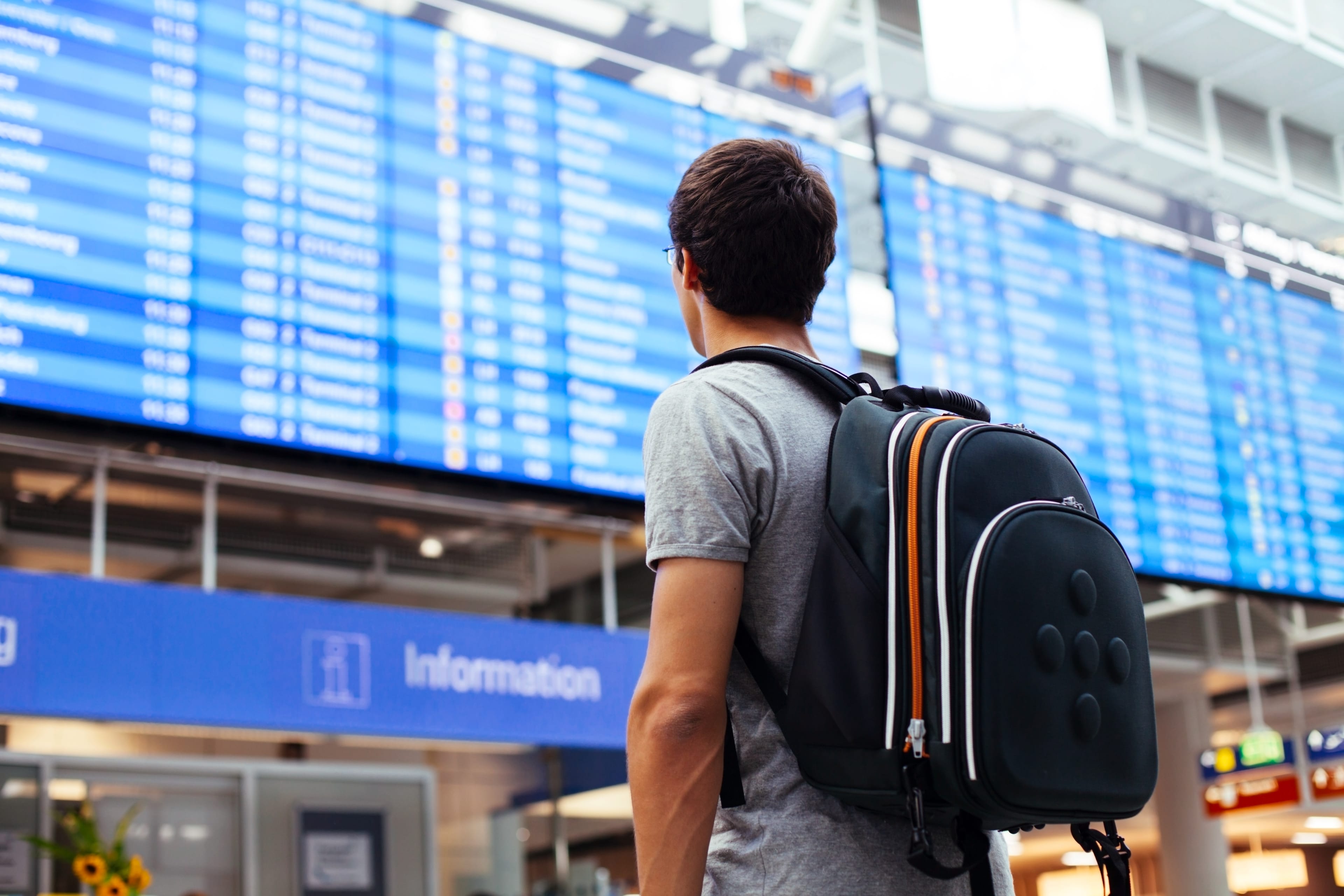 Guy near airline schedule