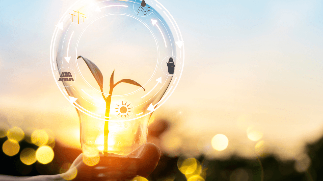 How these Québec-based businesses invested in energy efficiency