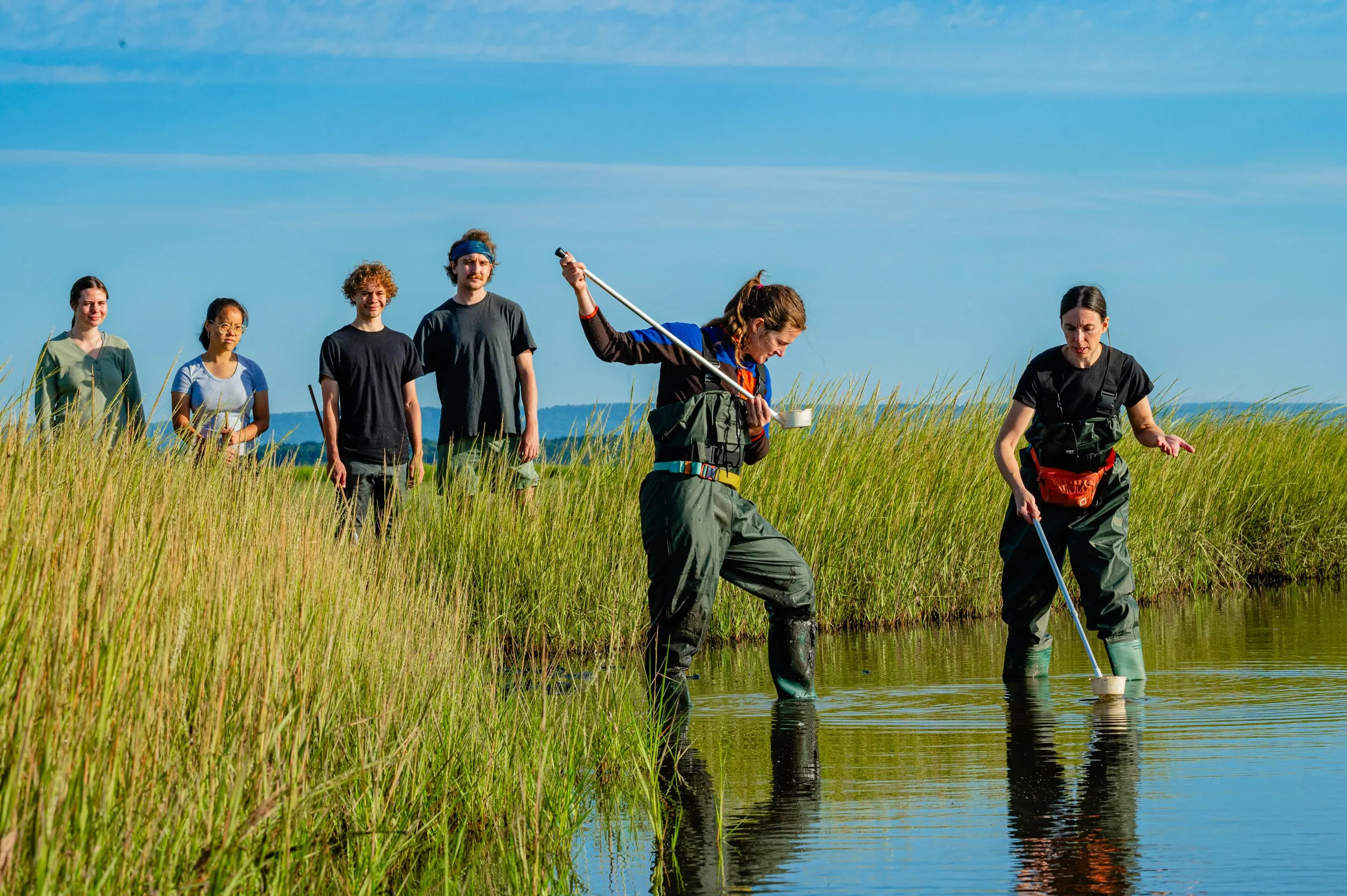 Students wading through a marshland