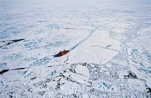 Why the world wants the Arctic