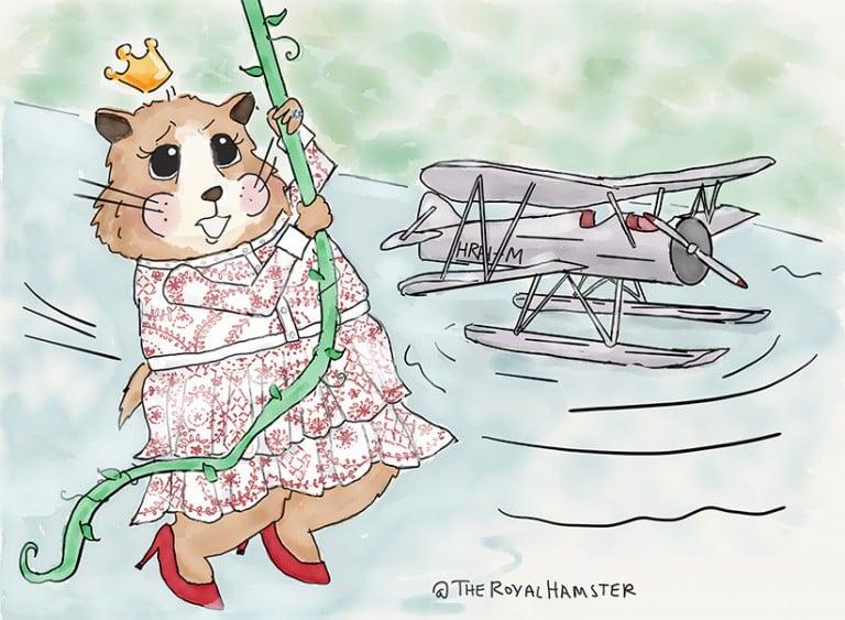 <p>Marvin the Hamster. (Christine Frazier)</p>
