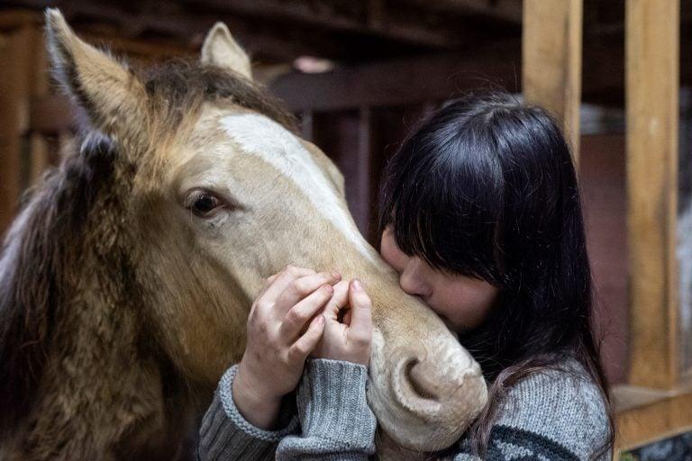 A rescue farm in Duncan, Vancouver Island, holds horses that have avoided slaughter (Photograph by Jen Osborne)