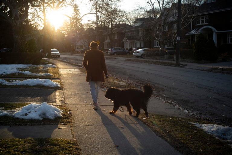Walking has become a welcome relief for people feeling cooped up in these days of social distancing. A man walks a dog in Toronto on Mar. 8, 2020. (Graeme Roy/CP)