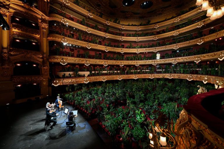 The Uceli Quartet performs for an audience made of plants to mark the reopening of the Liceu opera house in Barcelona. (LLuis Gene/AFP/Getty Images)The Uceli Quartet perform for an audience made of plants during a concert created by Spanish artist Eugenio Ampudia and that will be later streamed to mark the reopening of the Liceu Grand Theatre in Barcelona on June 22, 2020 following a national lockdown to stop the spread of the novel coronavirus. (LLuis Gene/AFP/Getty Images)