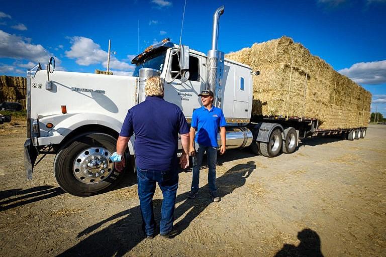 Posted on Doug Ford’s Twitter account on August25: “I couldn’t wait to get back here to Stratton to meet with some of our hard-working beef farmers and offer our support to help them get through this awful drought.” (@fordnation/Twitter)