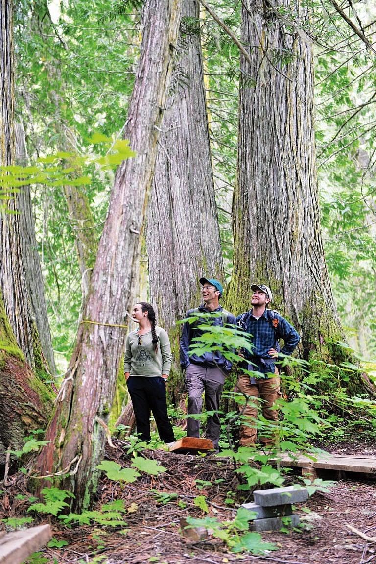 Chun T’oh Whudujut/Ancient Forest Provincial Park, a protected inland rainforest located 115 km east of Prince George, hosts experiential learning and research opportunities for UNBC students. (Courtesy of University of Northern British Columbia)